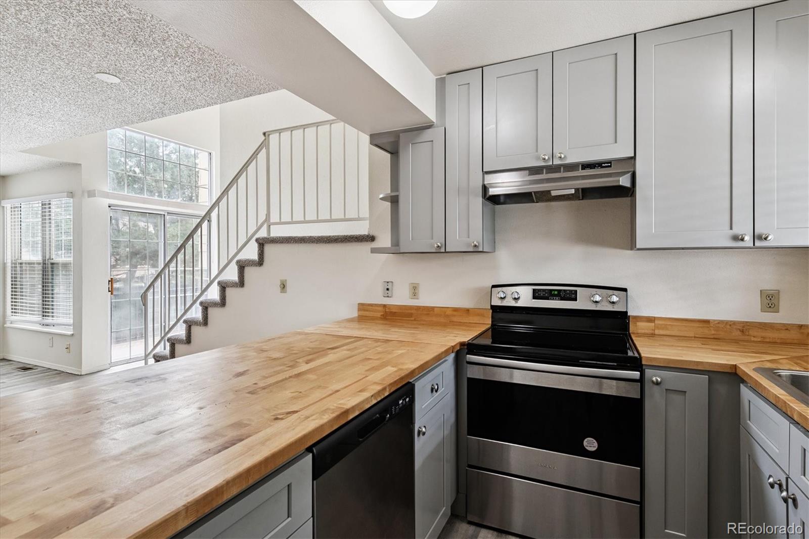 MLS Image #9 for 4592  malaya street,denver, Colorado