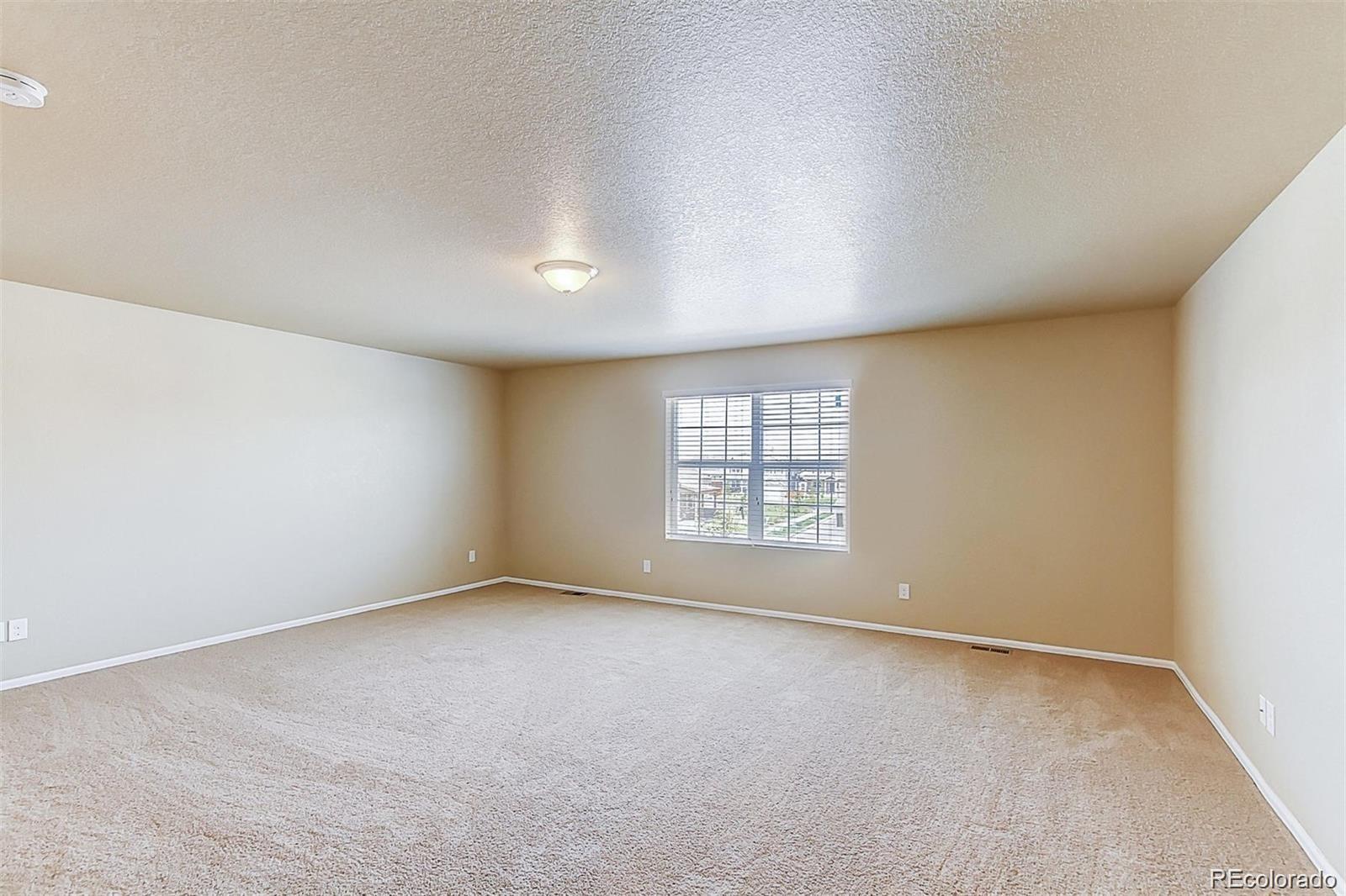 MLS Image #13 for 12632 e 104th drive,commerce city, Colorado