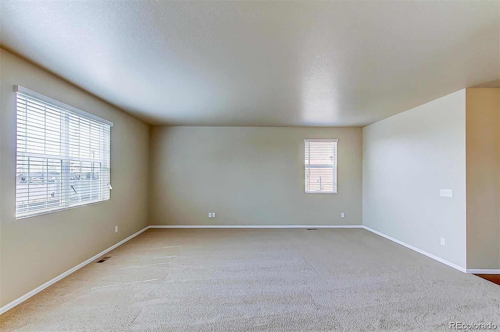 MLS Image #6 for 12632 e 104th drive,commerce city, Colorado
