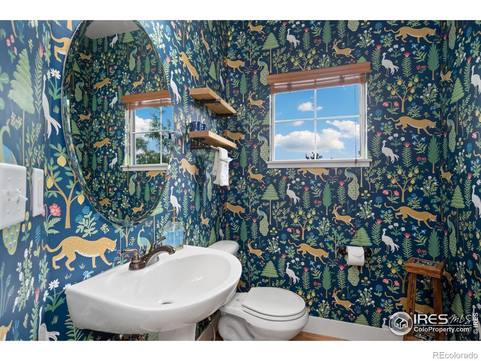 MLS Image #14 for 5317  school house drive,timnath, Colorado
