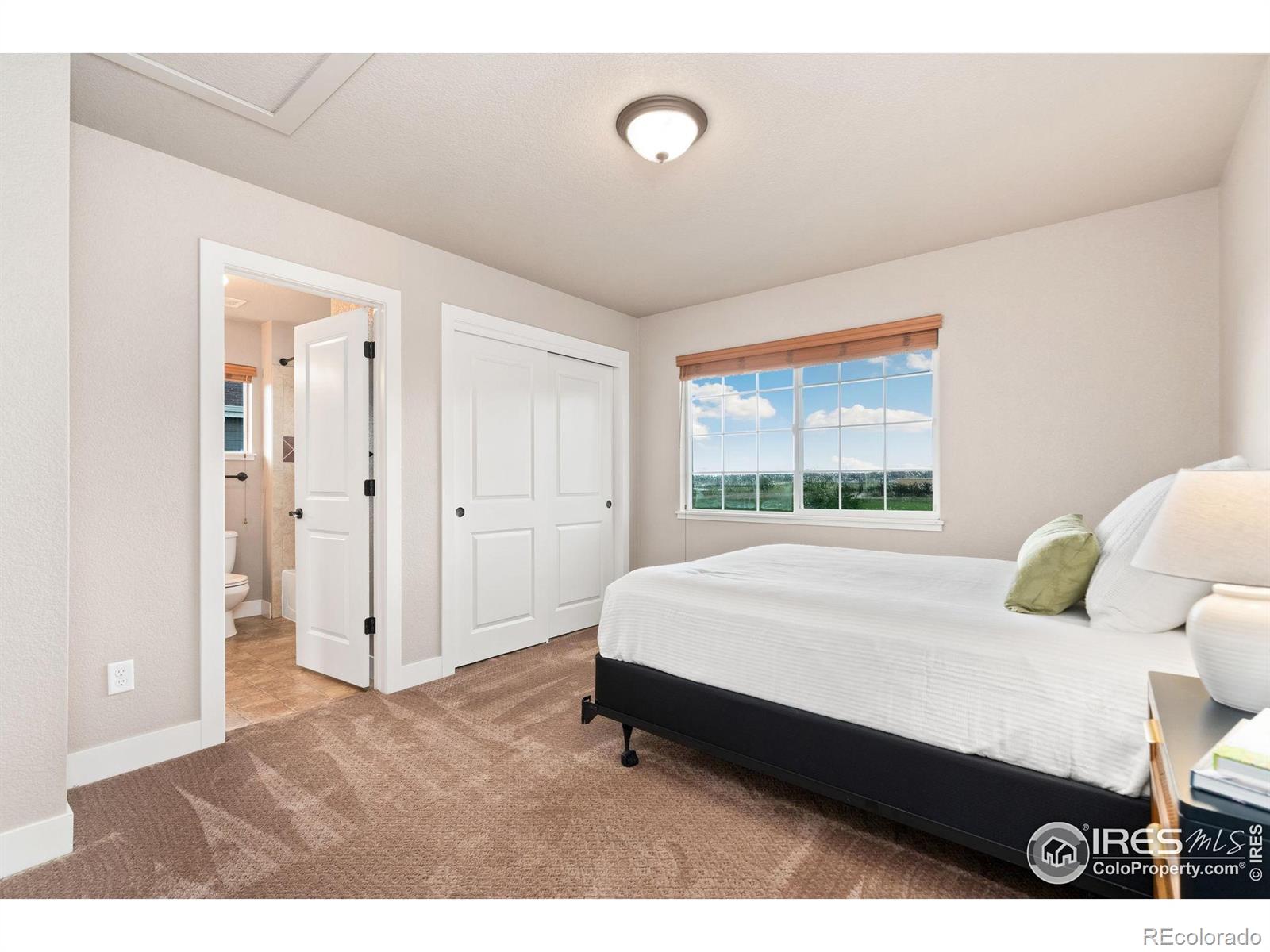 MLS Image #23 for 5317  school house drive,timnath, Colorado