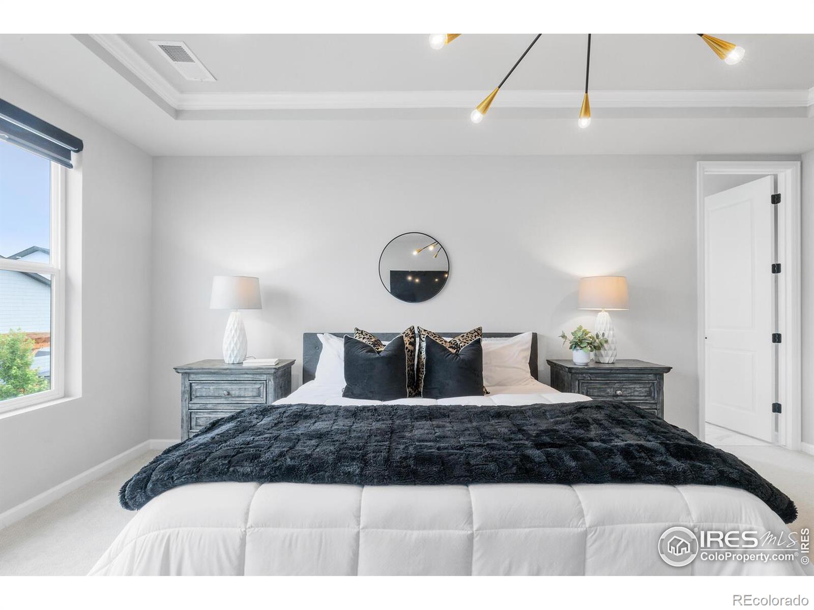 MLS Image #35 for 5056  blanchette street,timnath, Colorado