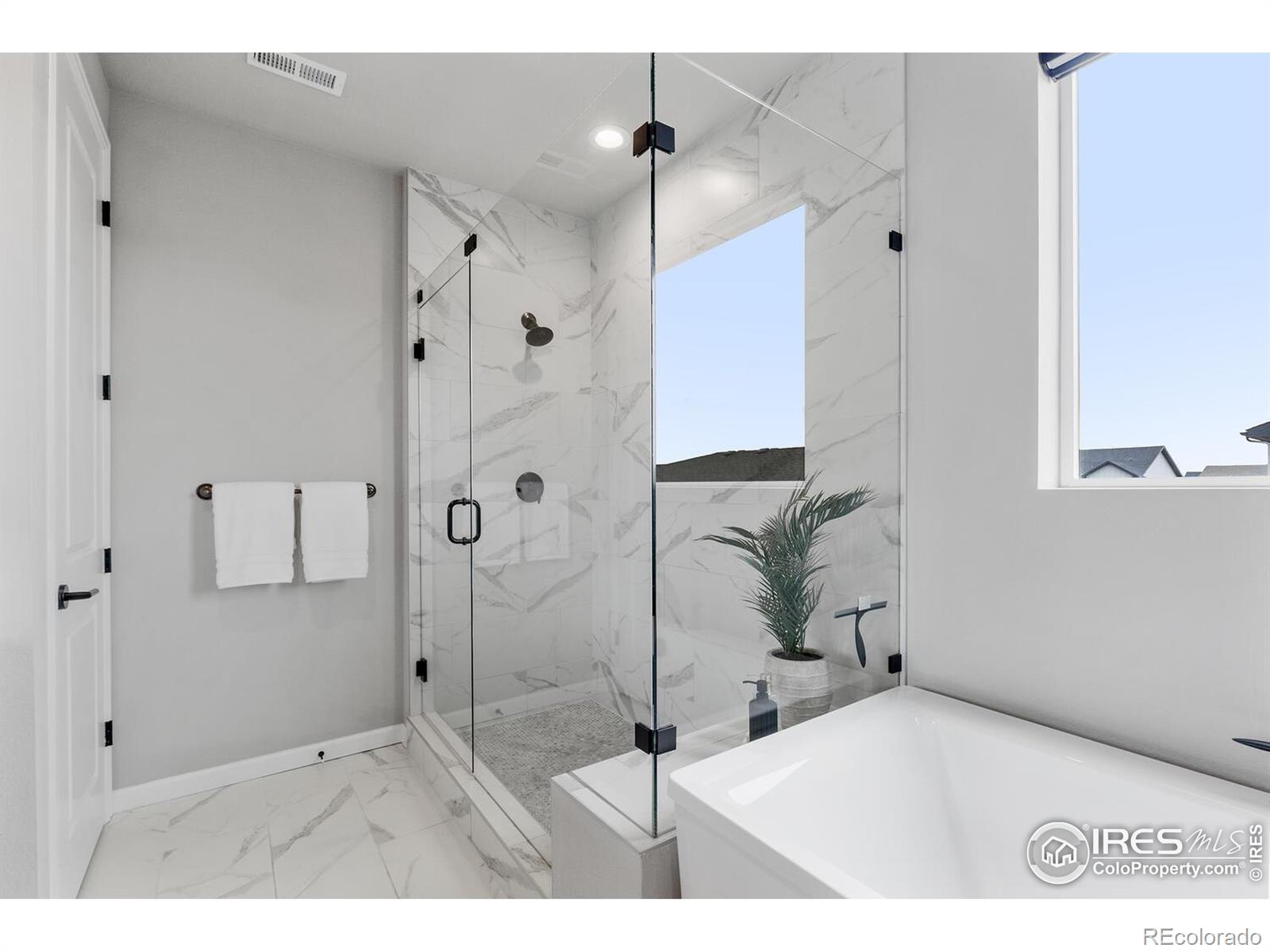 MLS Image #5 for 5056  blanchette street,timnath, Colorado