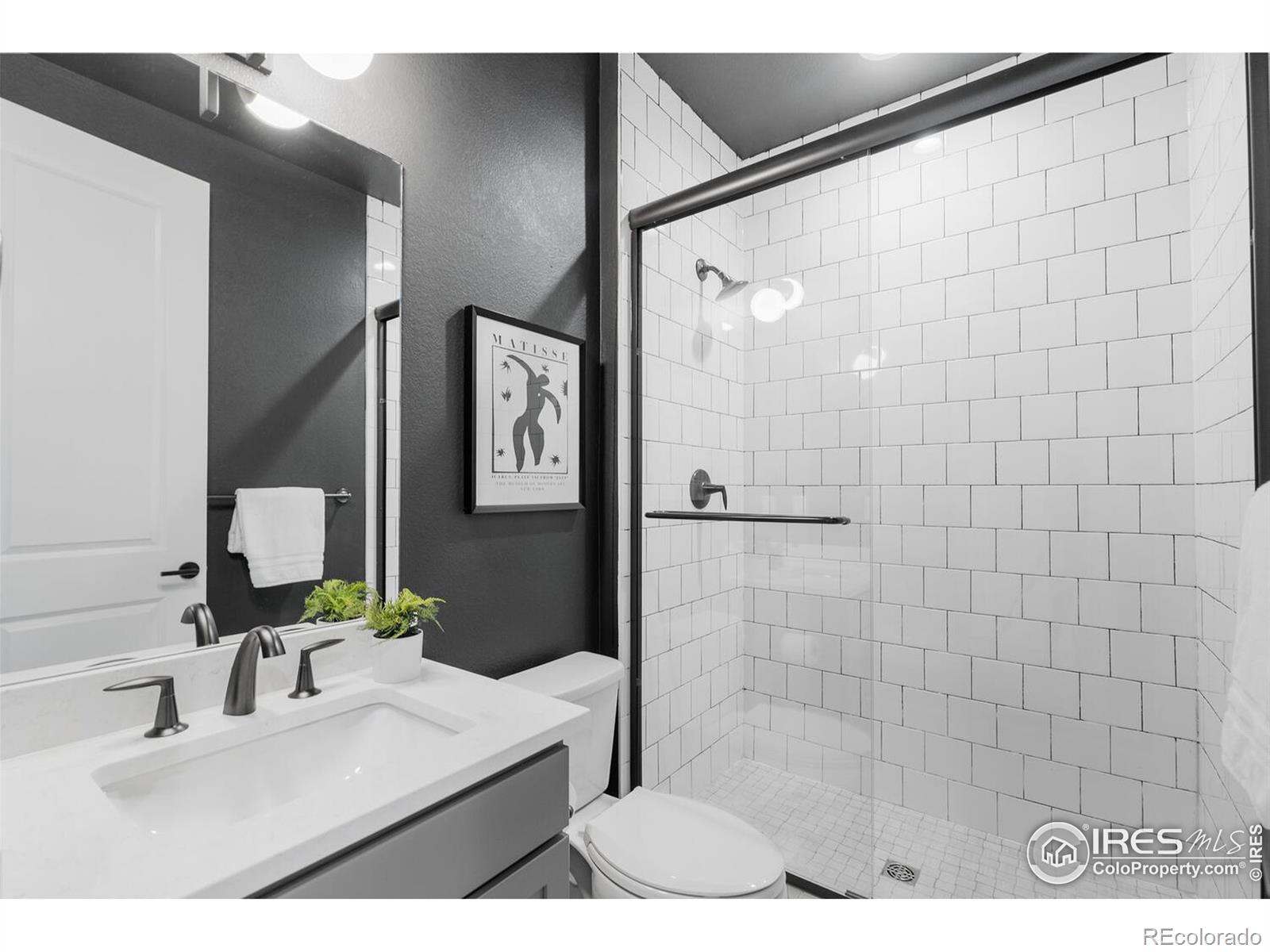 MLS Image #8 for 5056  blanchette street,timnath, Colorado
