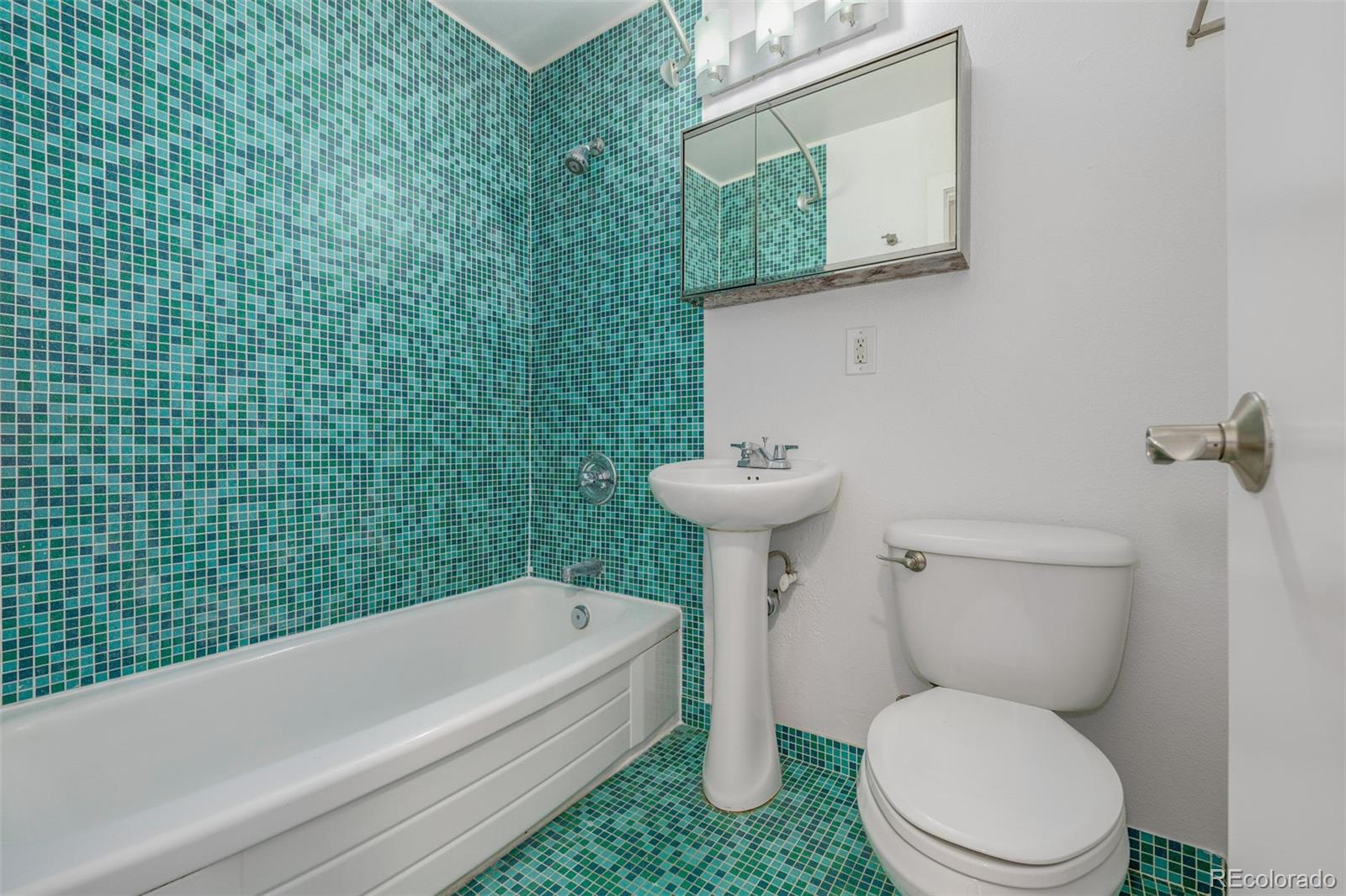 MLS Image #12 for 1245  columbine street,denver, Colorado