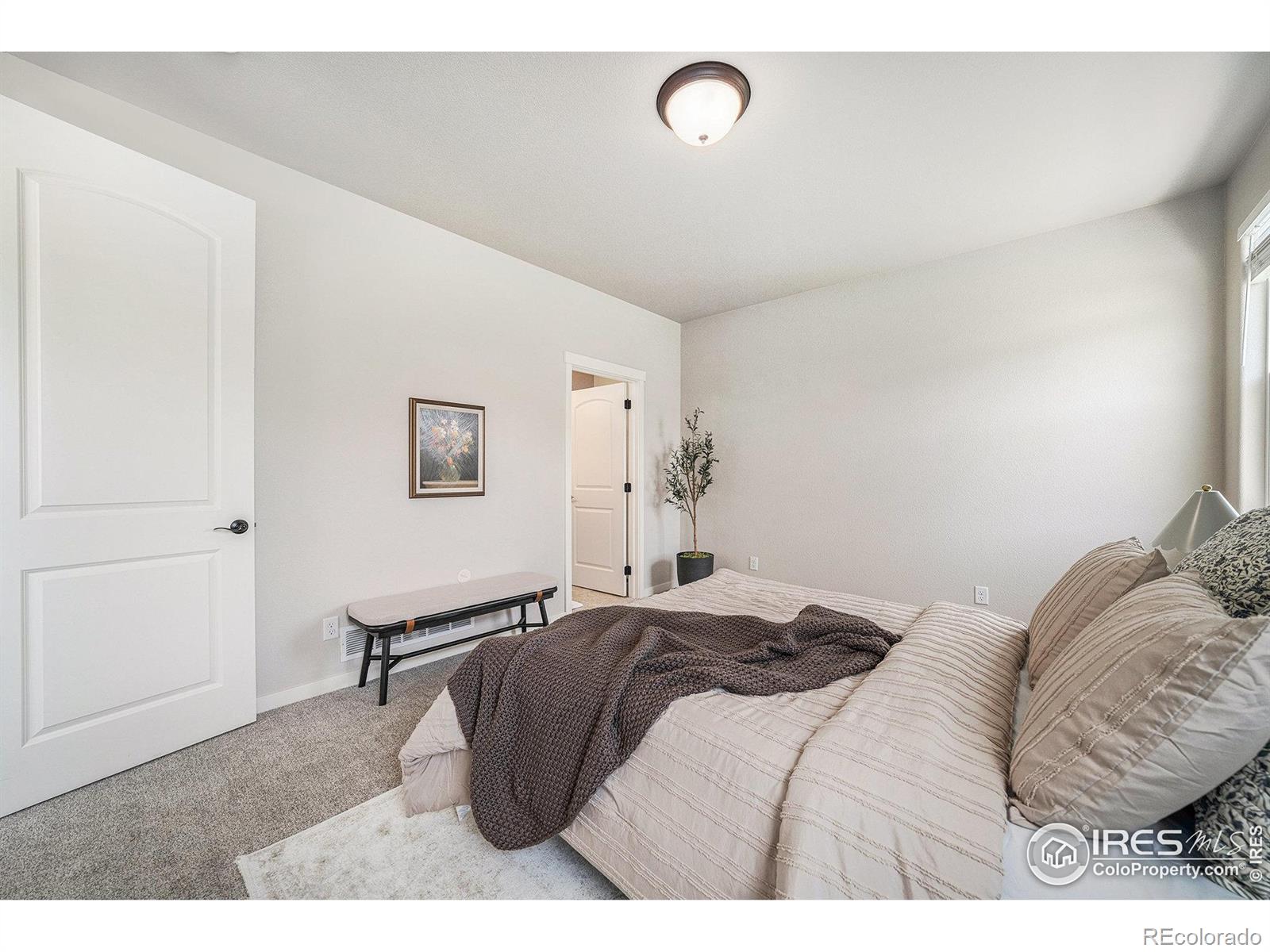 MLS Image #14 for 3325  corvina court,evans, Colorado