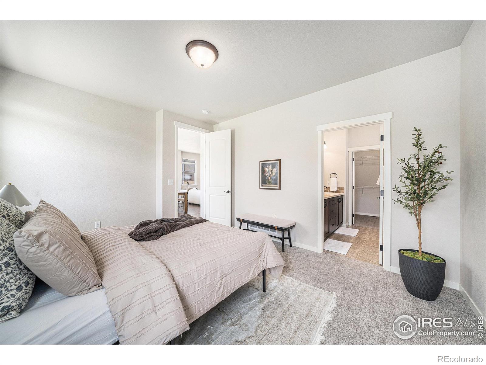 MLS Image #15 for 3325  corvina court,evans, Colorado