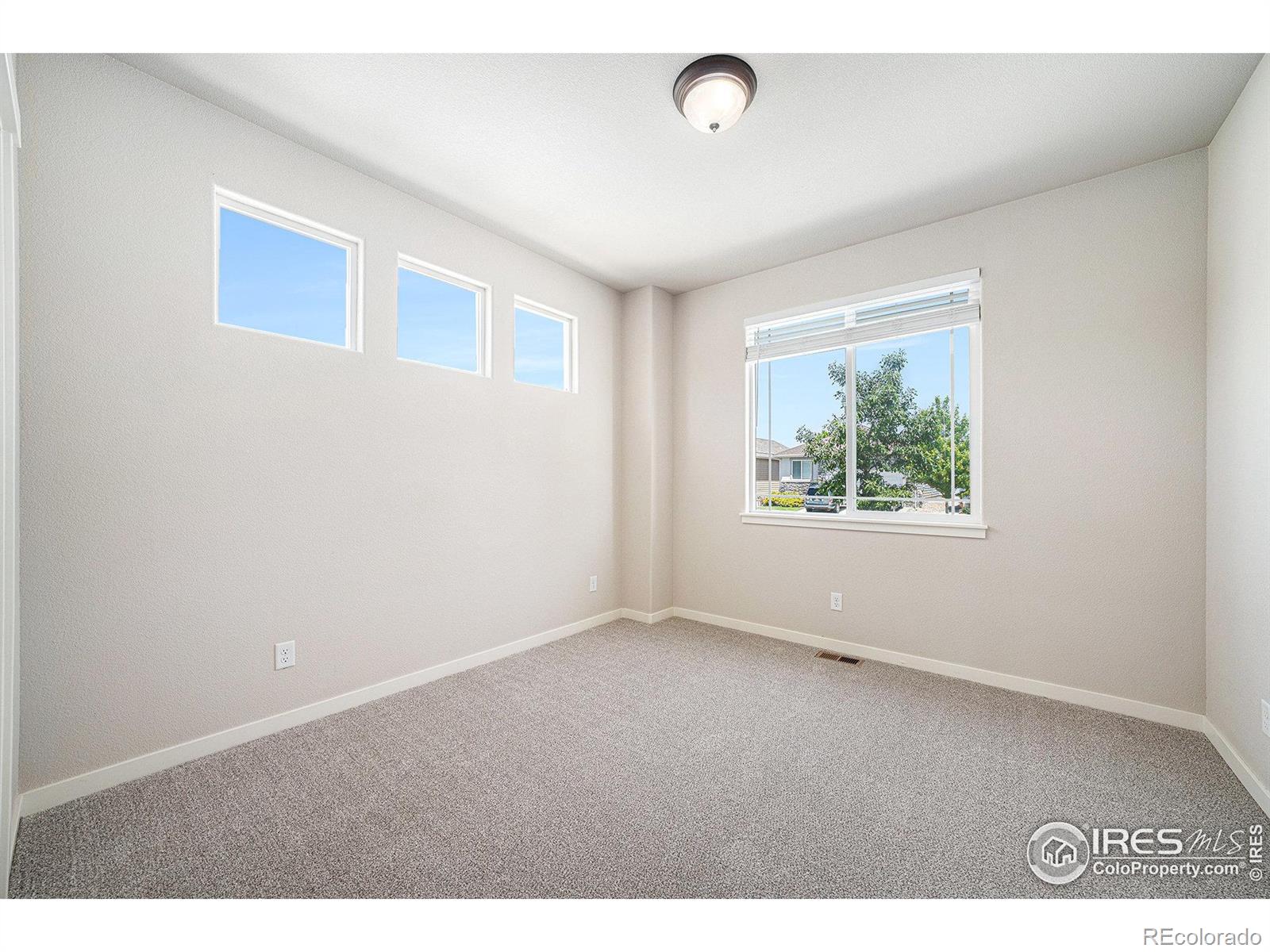 MLS Image #19 for 3325  corvina court,evans, Colorado
