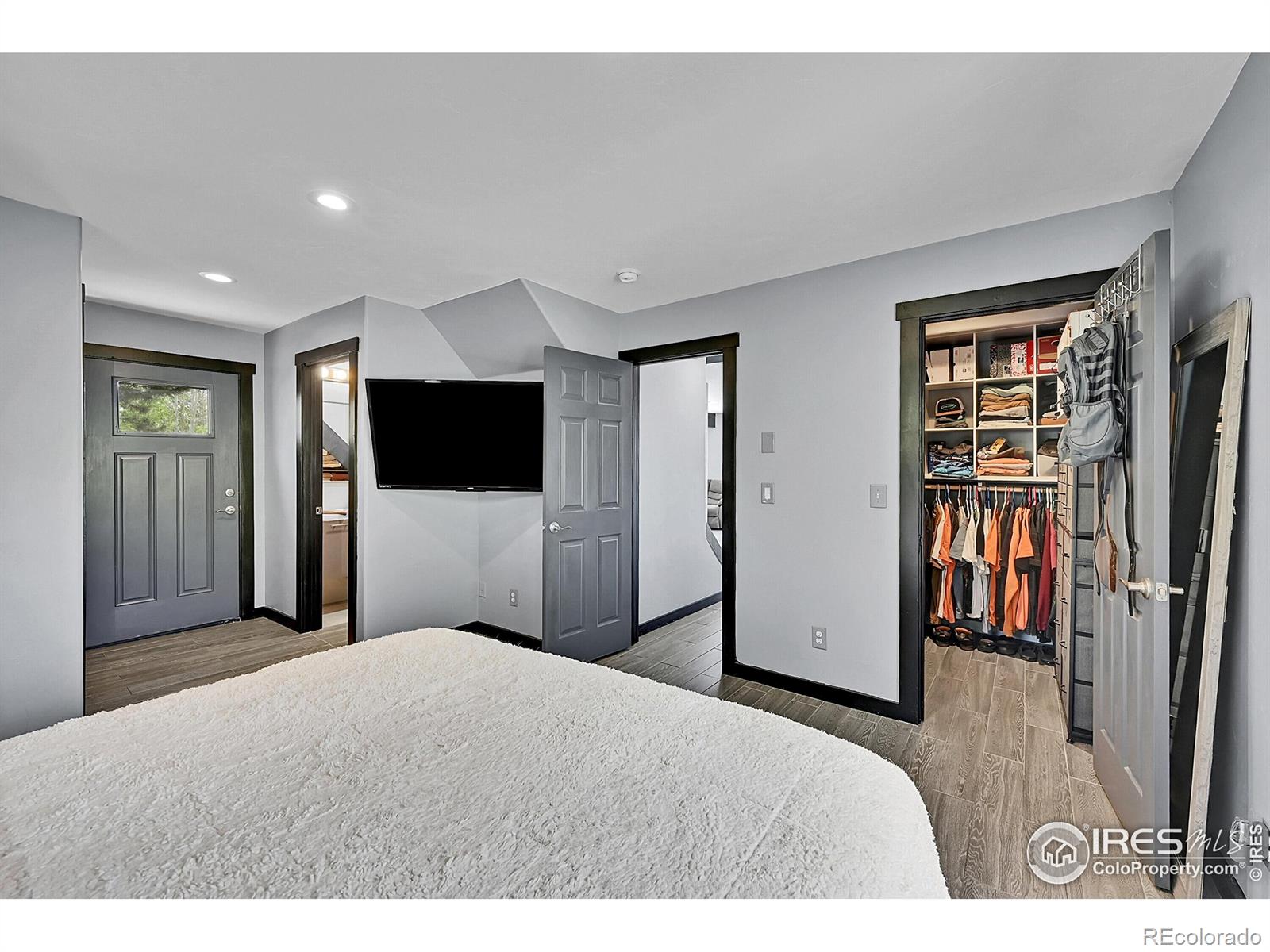 MLS Image #19 for 1424  sheep ridge road,fairplay, Colorado