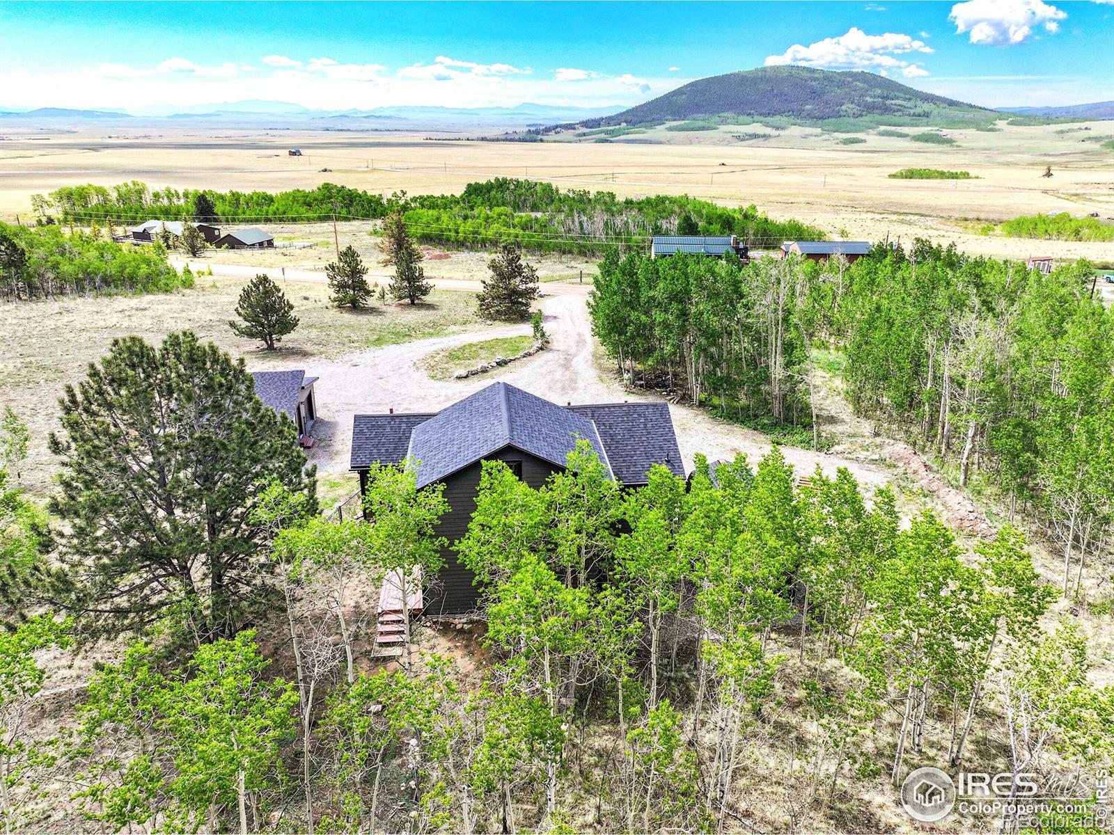 MLS Image #28 for 1424  sheep ridge road,fairplay, Colorado