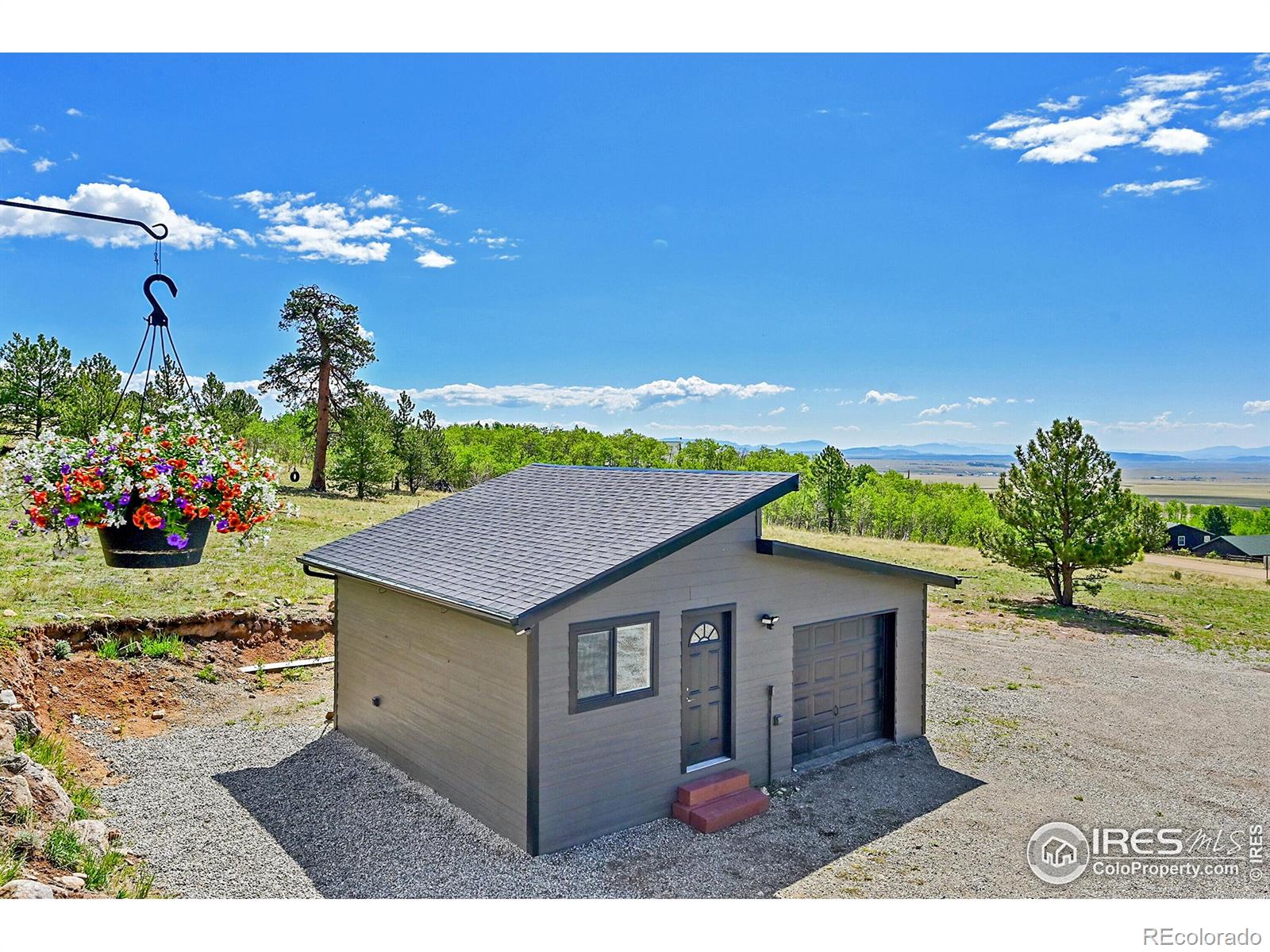 MLS Image #6 for 1424  sheep ridge road,fairplay, Colorado
