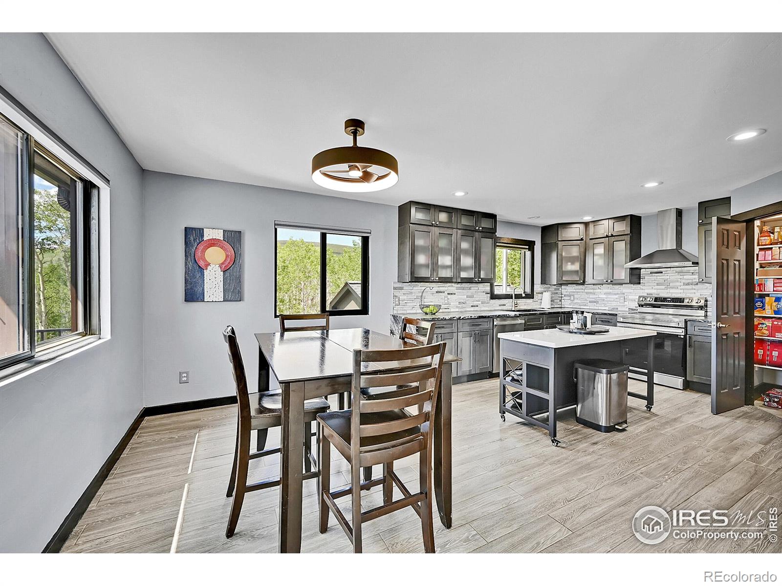 MLS Image #7 for 1424  sheep ridge road,fairplay, Colorado