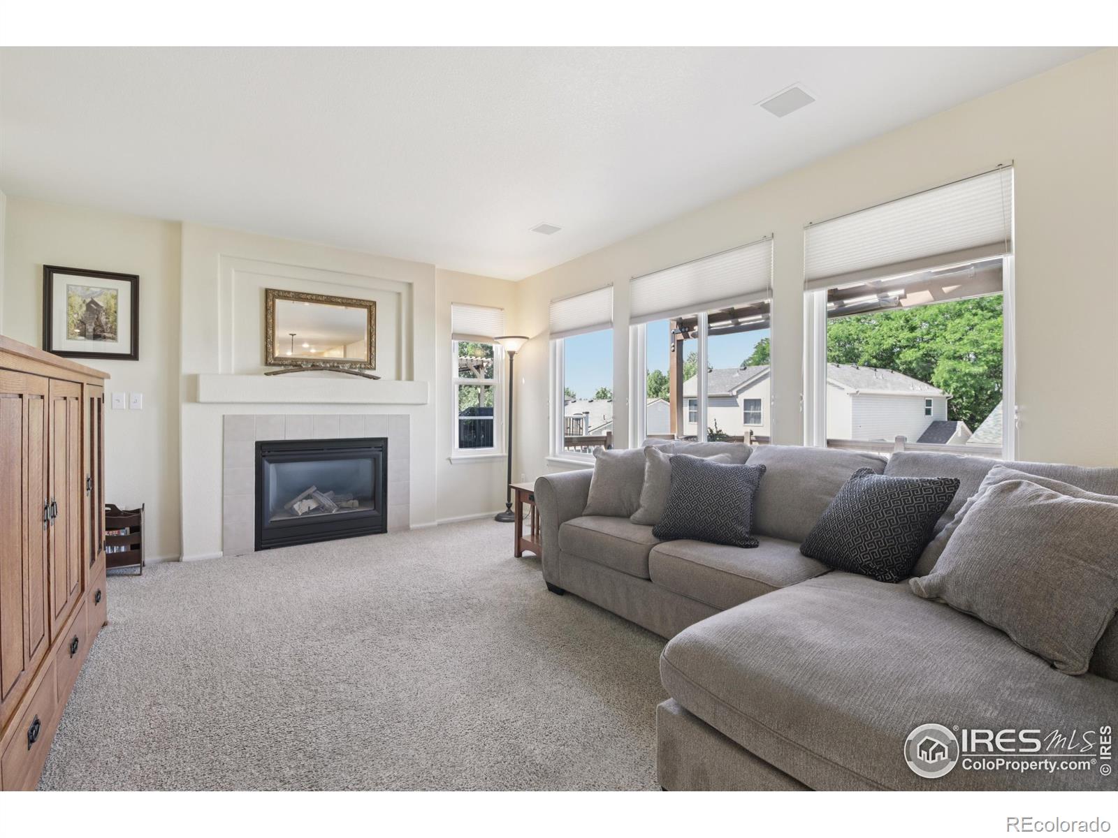 MLS Image #10 for 2608 e 132nd avenue,thornton, Colorado