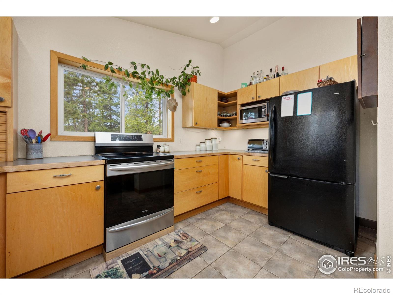 MLS Image #13 for 21  shoshoni camp road,rollinsville, Colorado