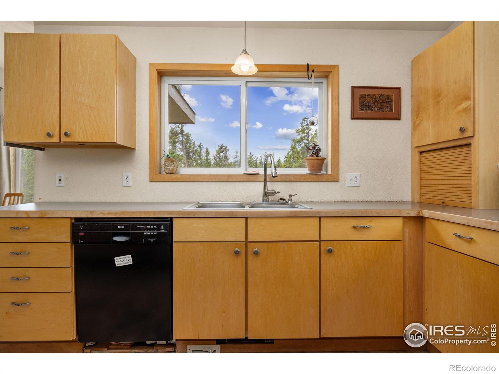 MLS Image #14 for 21  shoshoni camp road,rollinsville, Colorado