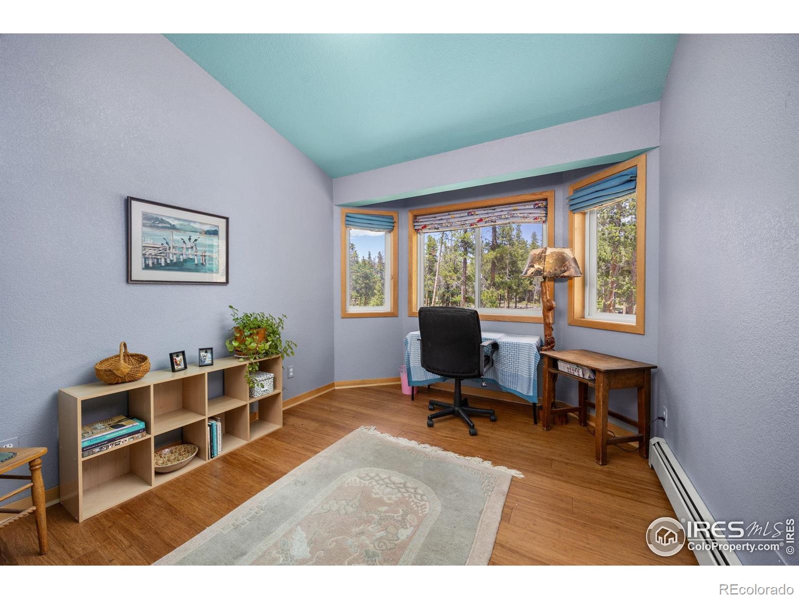 MLS Image #19 for 21  shoshoni camp road,rollinsville, Colorado