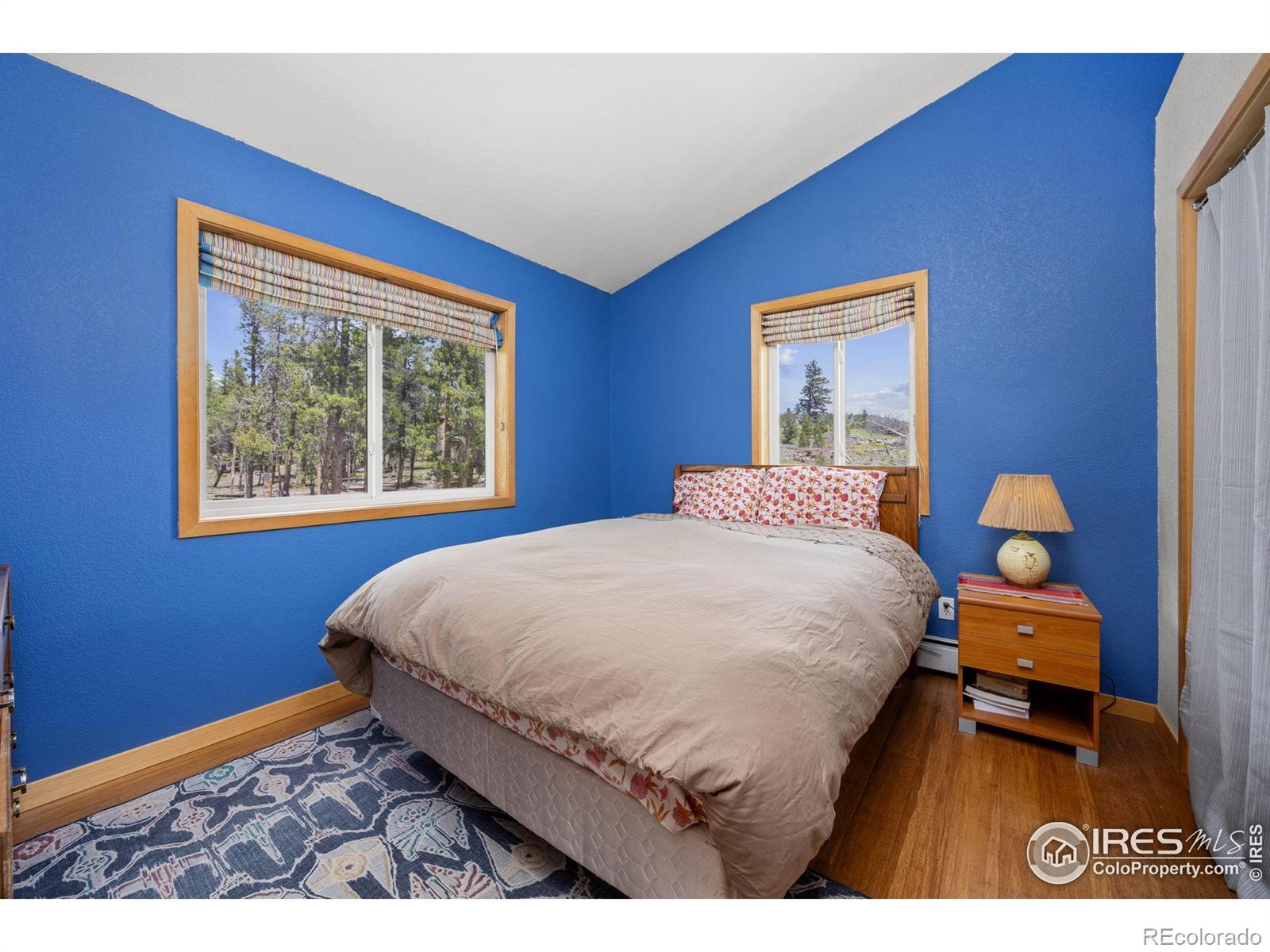 MLS Image #20 for 21  shoshoni camp road,rollinsville, Colorado