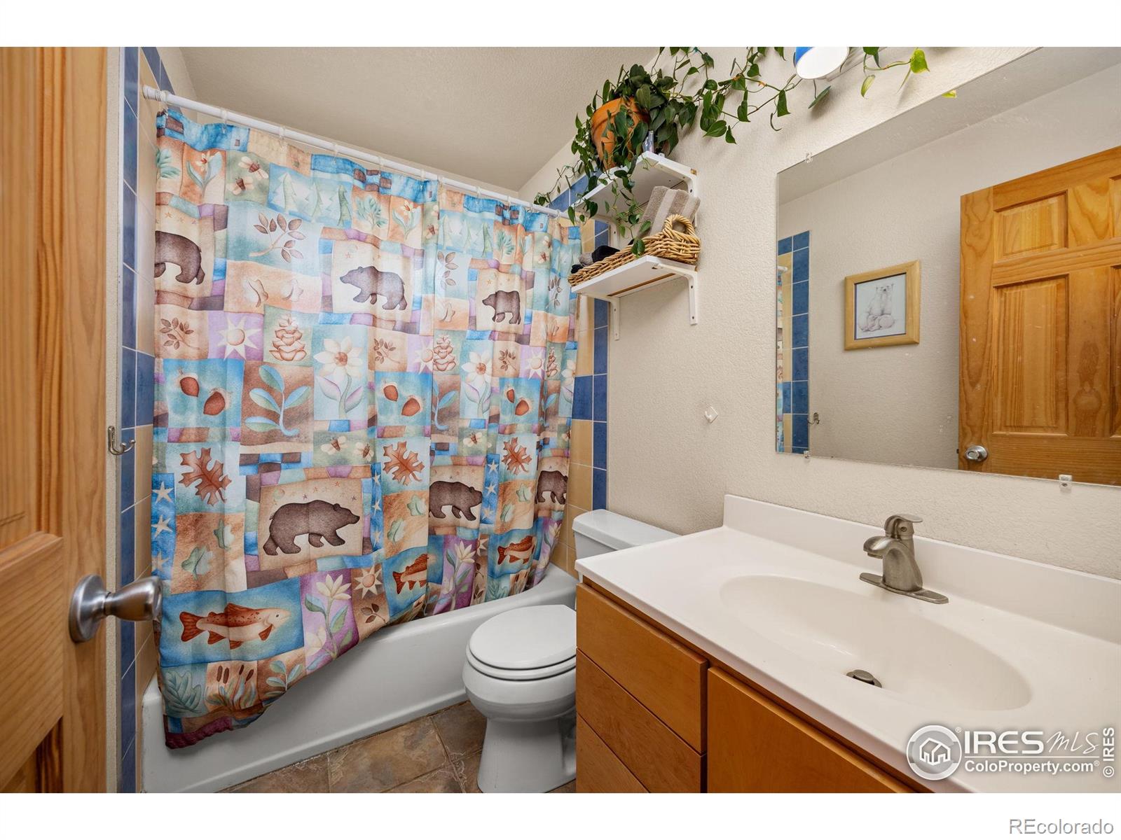 MLS Image #21 for 21  shoshoni camp road,rollinsville, Colorado