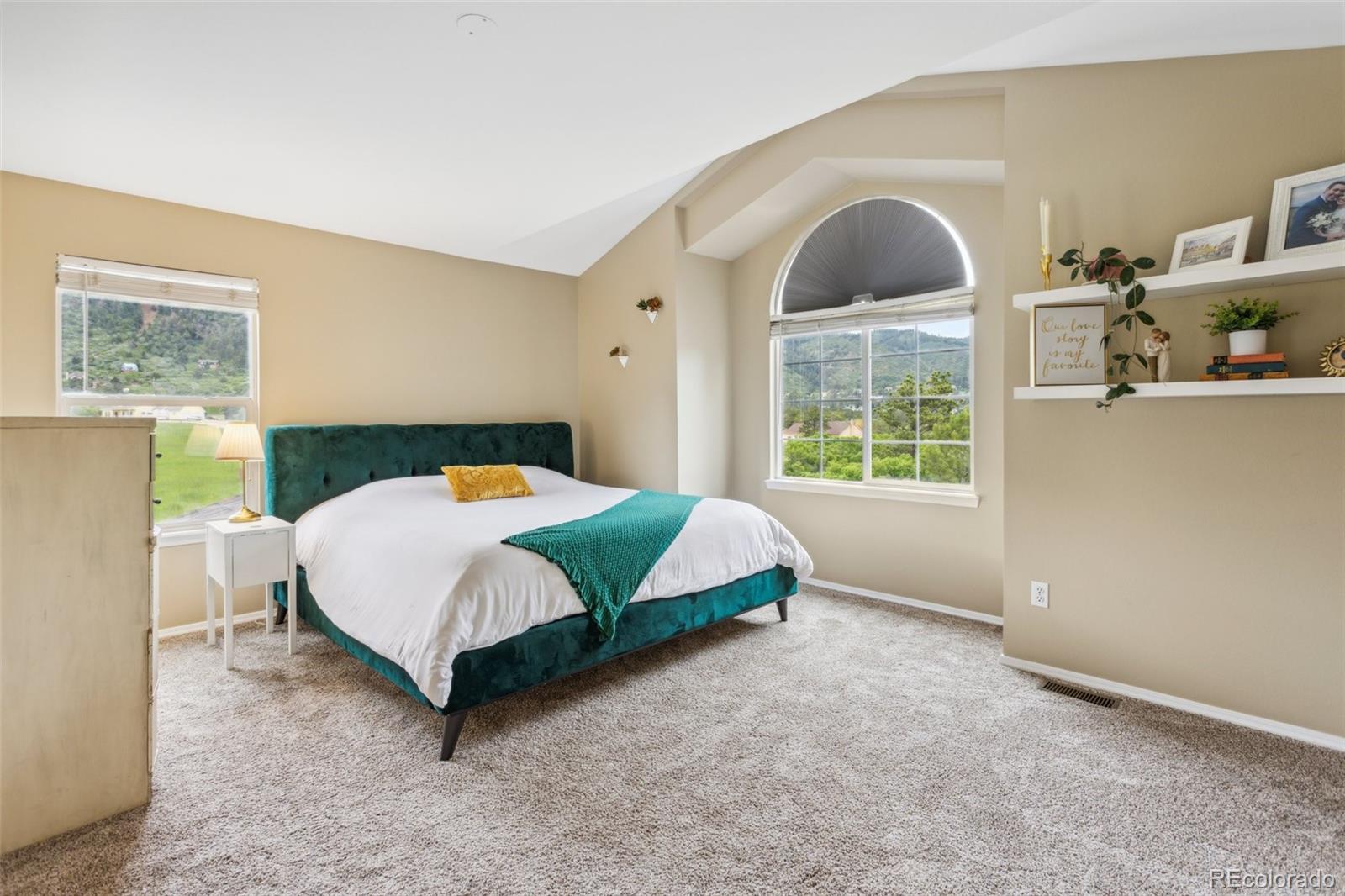 MLS Image #17 for 133  wheat ridge street,palmer lake, Colorado