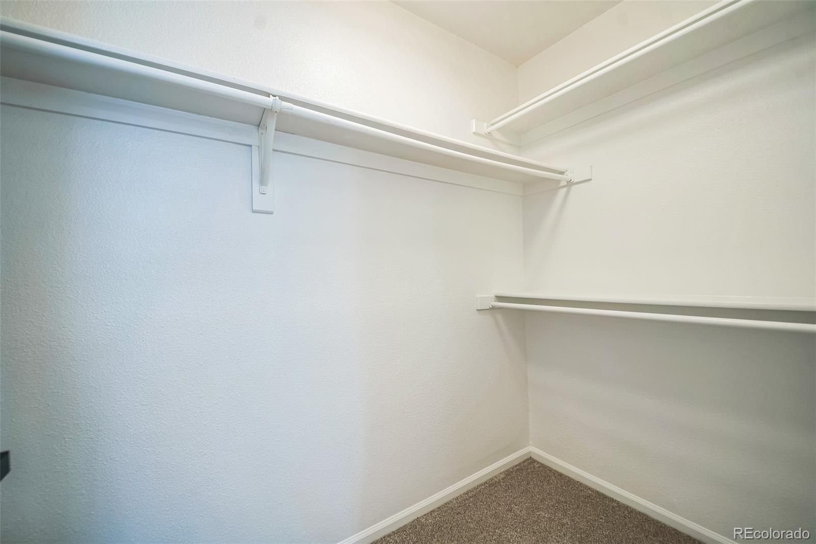 MLS Image #14 for 8884  miners street,highlands ranch, Colorado