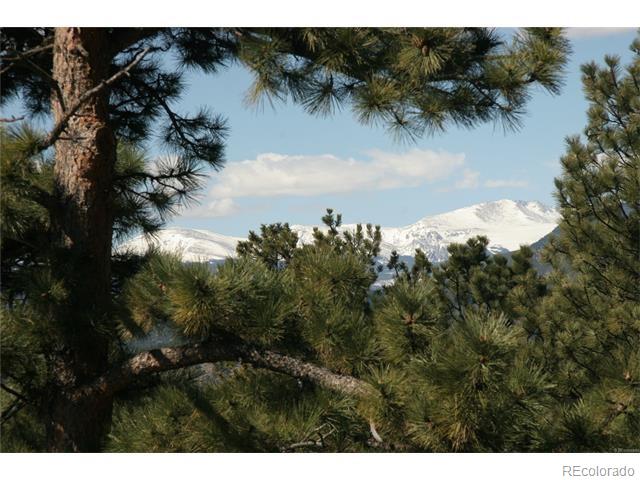 MLS Image #11 for 1771  larkspur drive,golden, Colorado