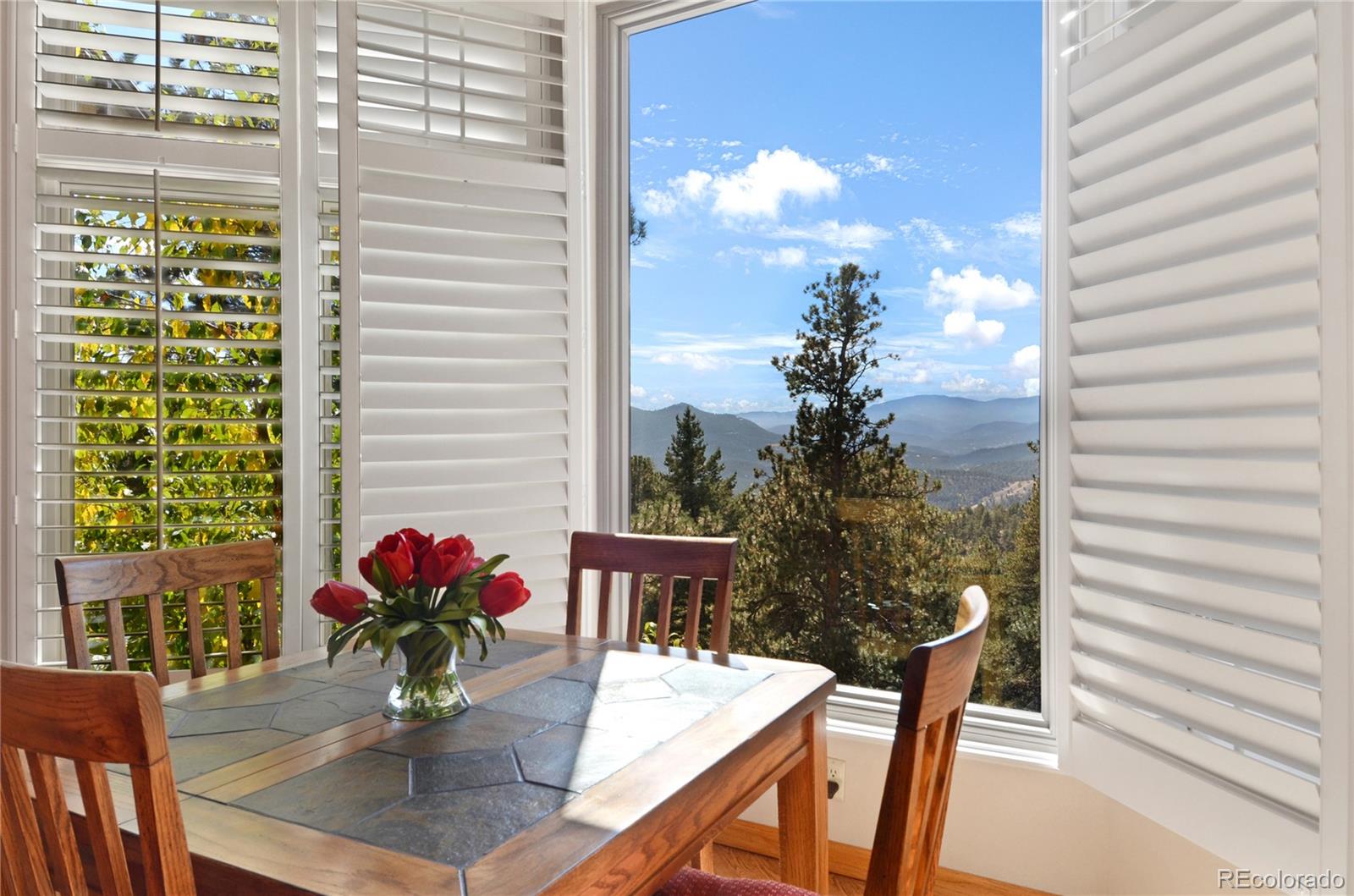 MLS Image #7 for 1771  larkspur drive,golden, Colorado