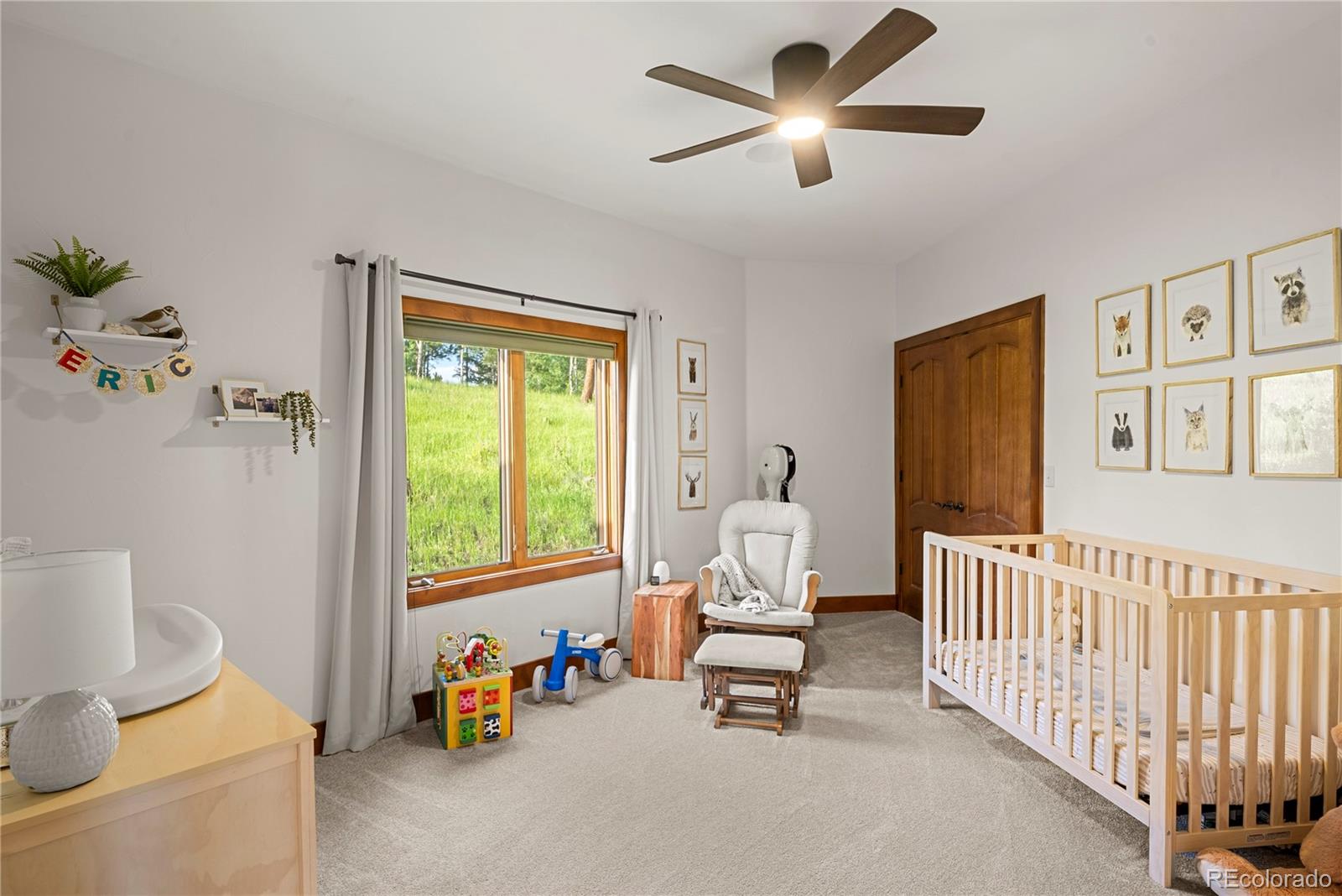 MLS Image #26 for 28532  hummingbird hill road,conifer, Colorado