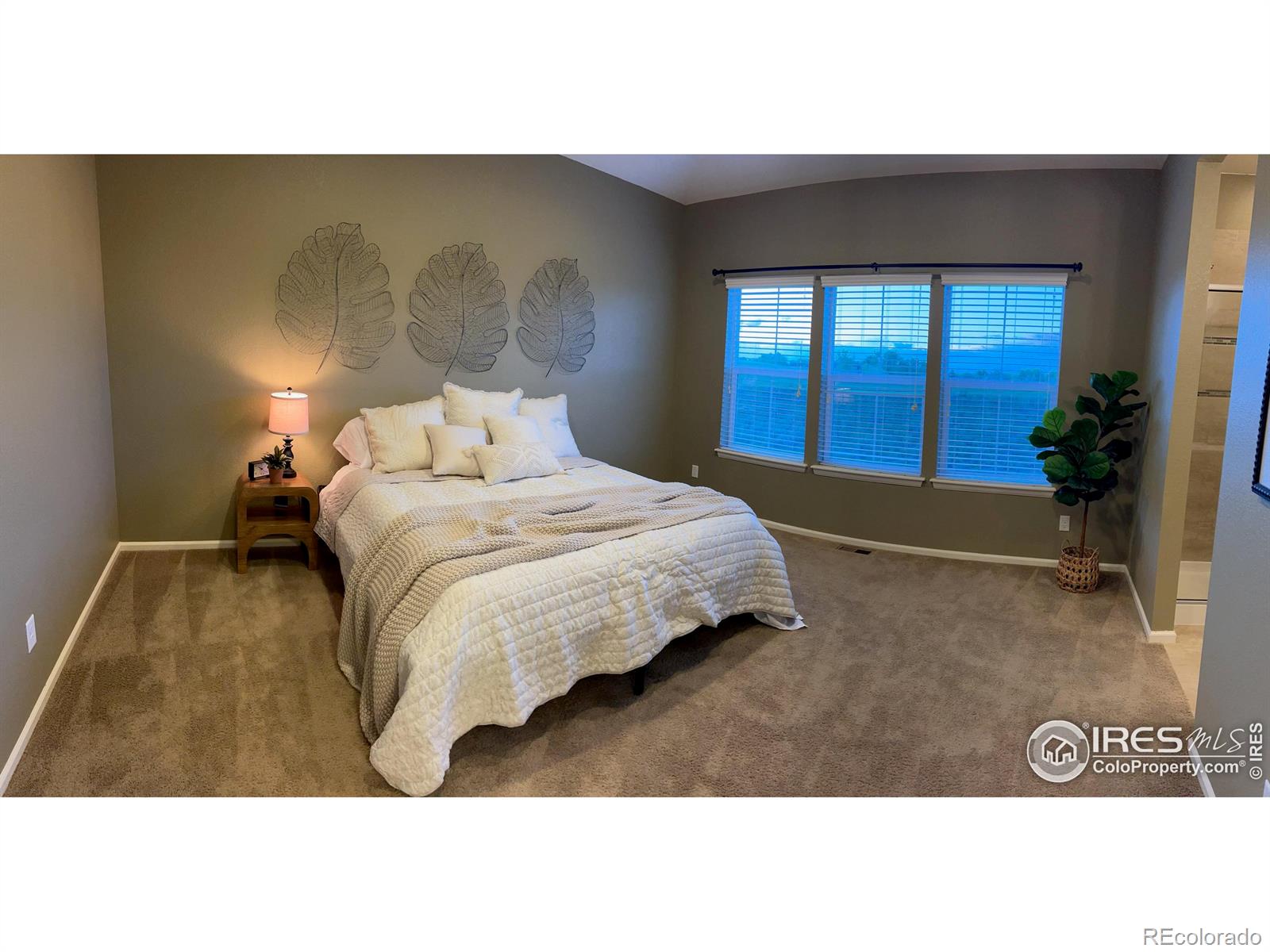 MLS Image #13 for 306  baja drive,windsor, Colorado