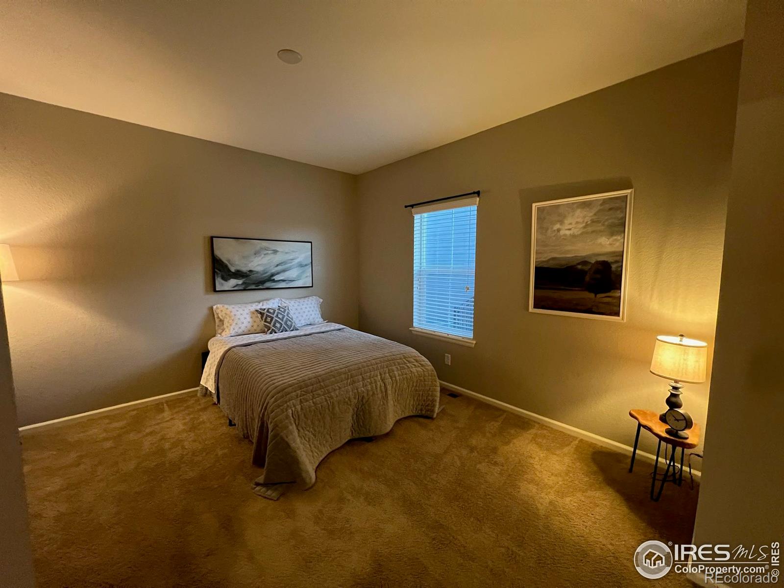 MLS Image #15 for 306  baja drive,windsor, Colorado