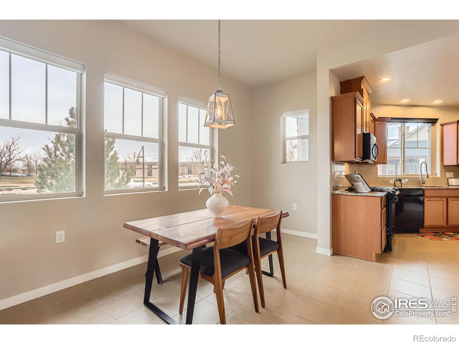 MLS Image #9 for 555  gallegos circle,erie, Colorado