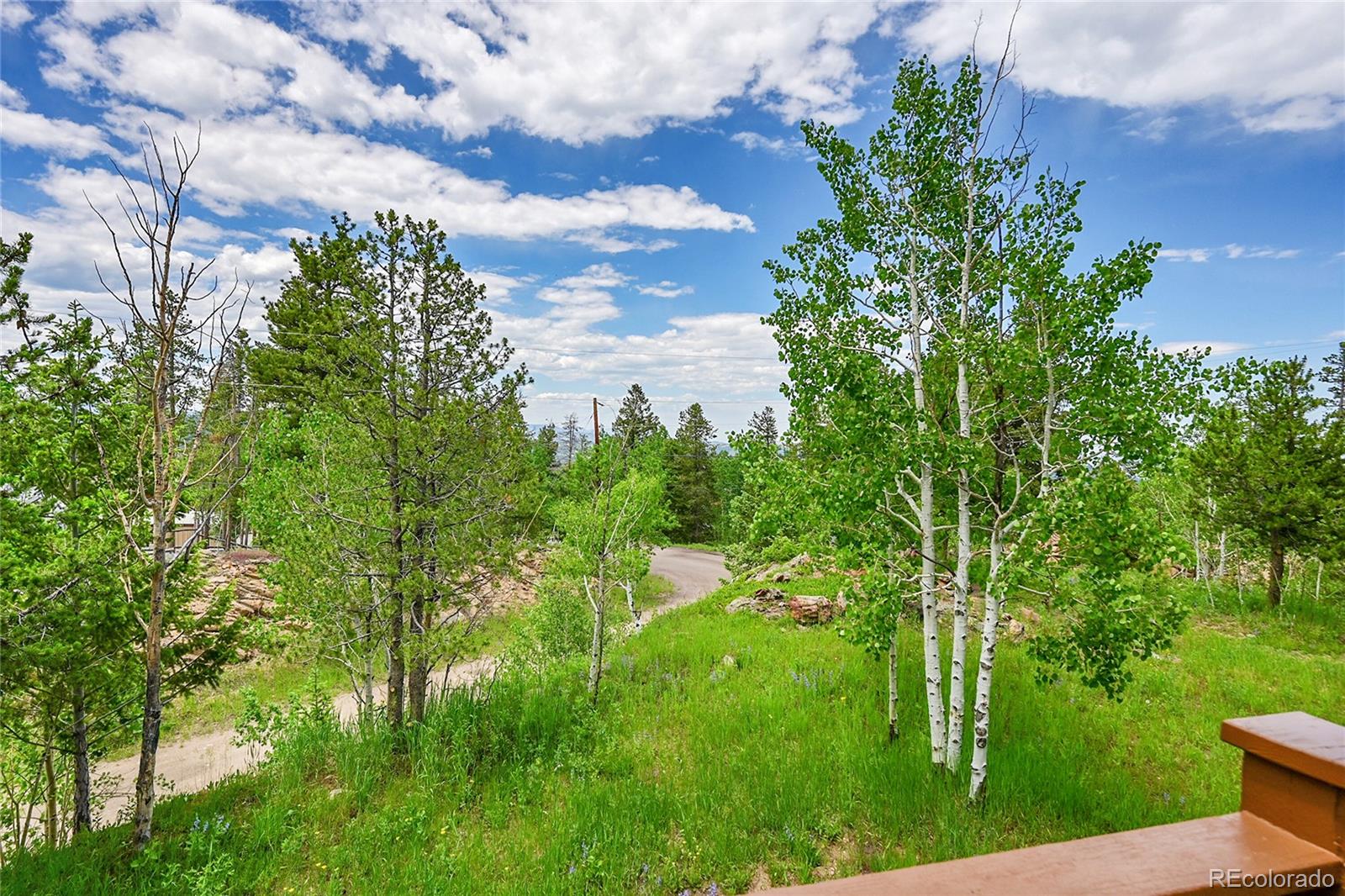 MLS Image #11 for 10436  jeanette court,morrison, Colorado