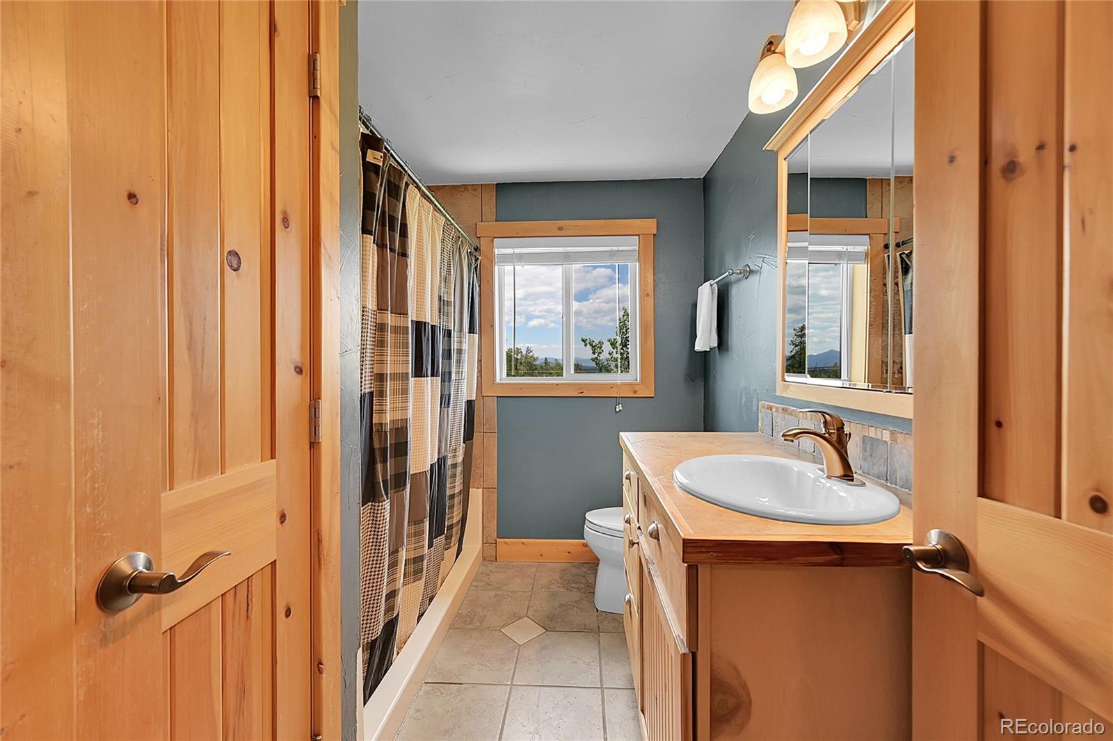MLS Image #12 for 10436  jeanette court,morrison, Colorado