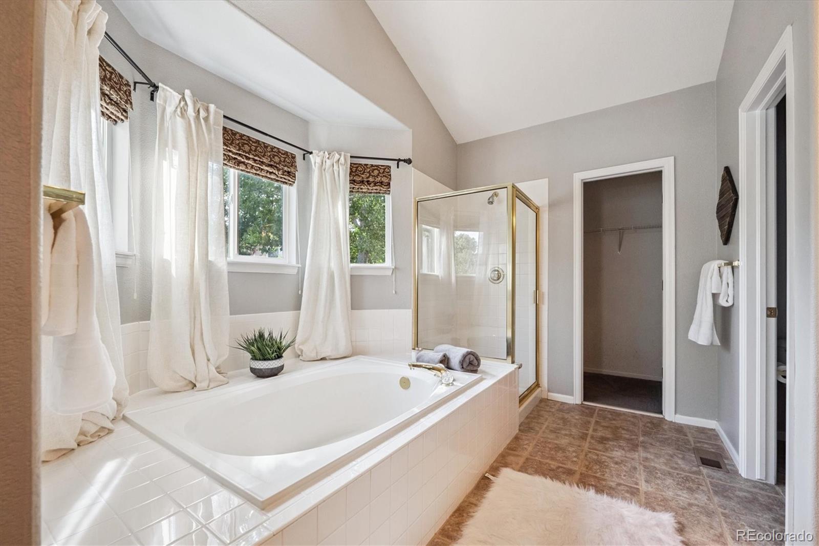 MLS Image #13 for 20304  vista circle,parker, Colorado