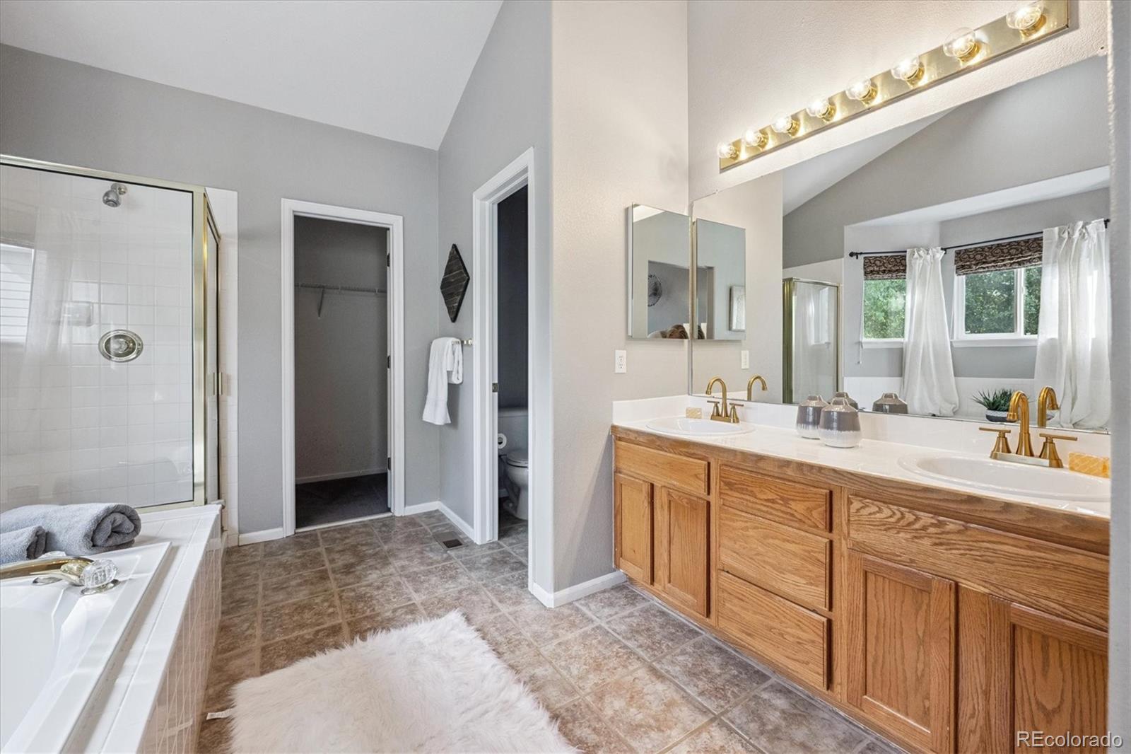 MLS Image #14 for 20304  vista circle,parker, Colorado