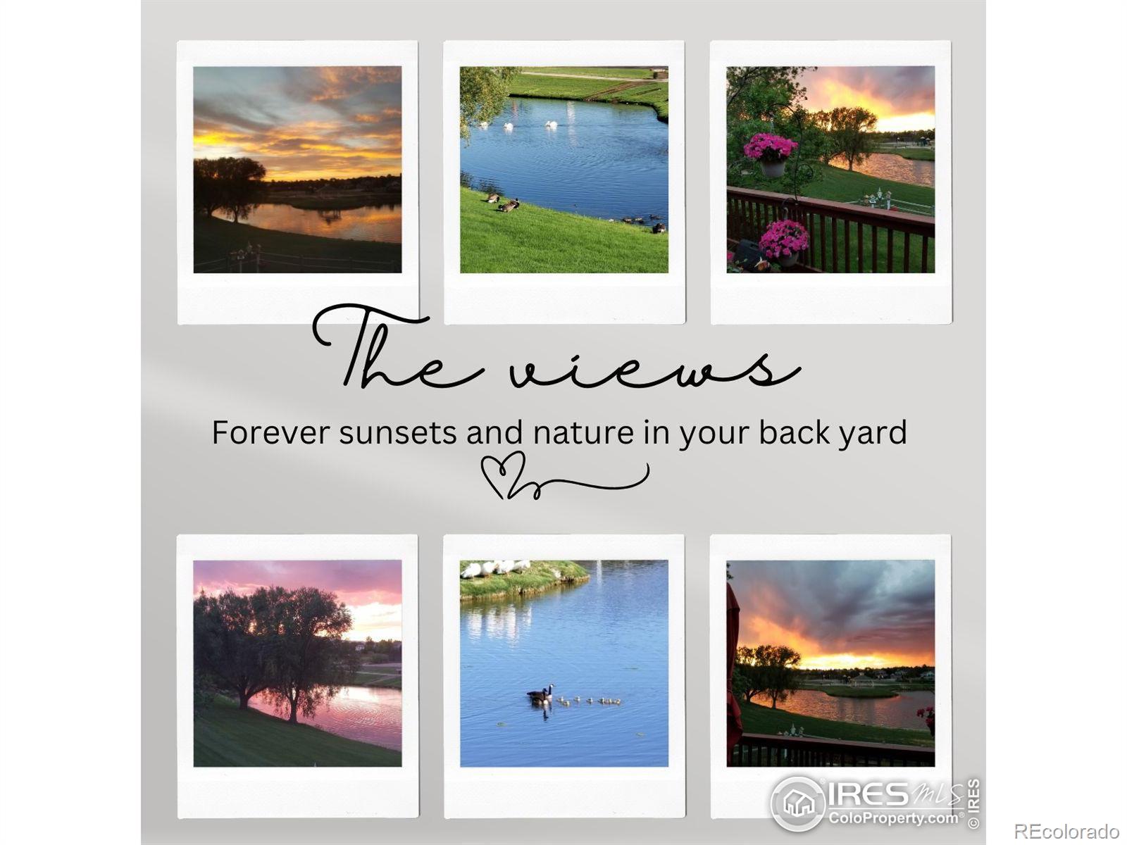 MLS Image #2 for 1206  canvasback court,fort collins, Colorado
