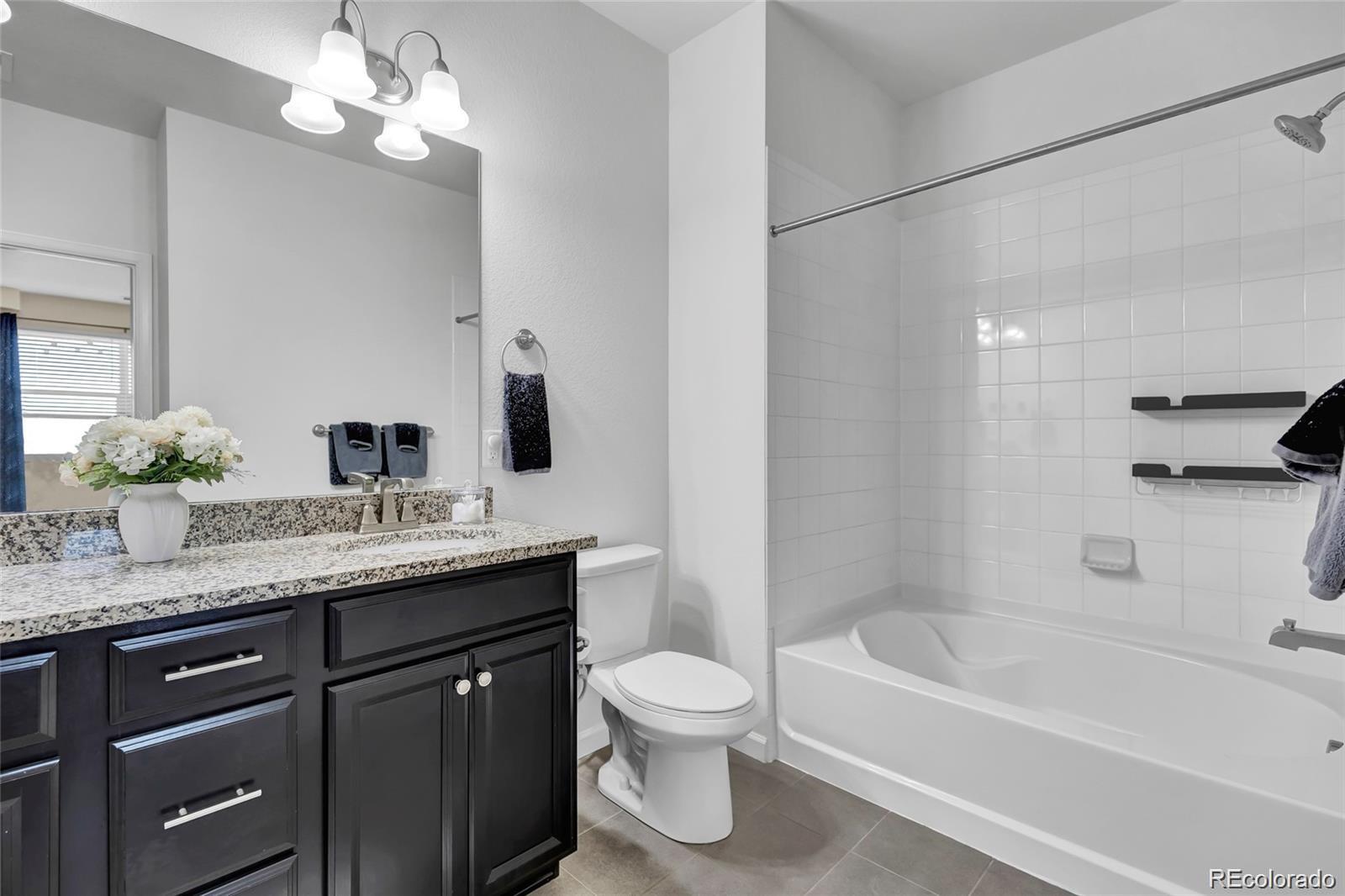 MLS Image #11 for 4569  copeland loop,highlands ranch, Colorado