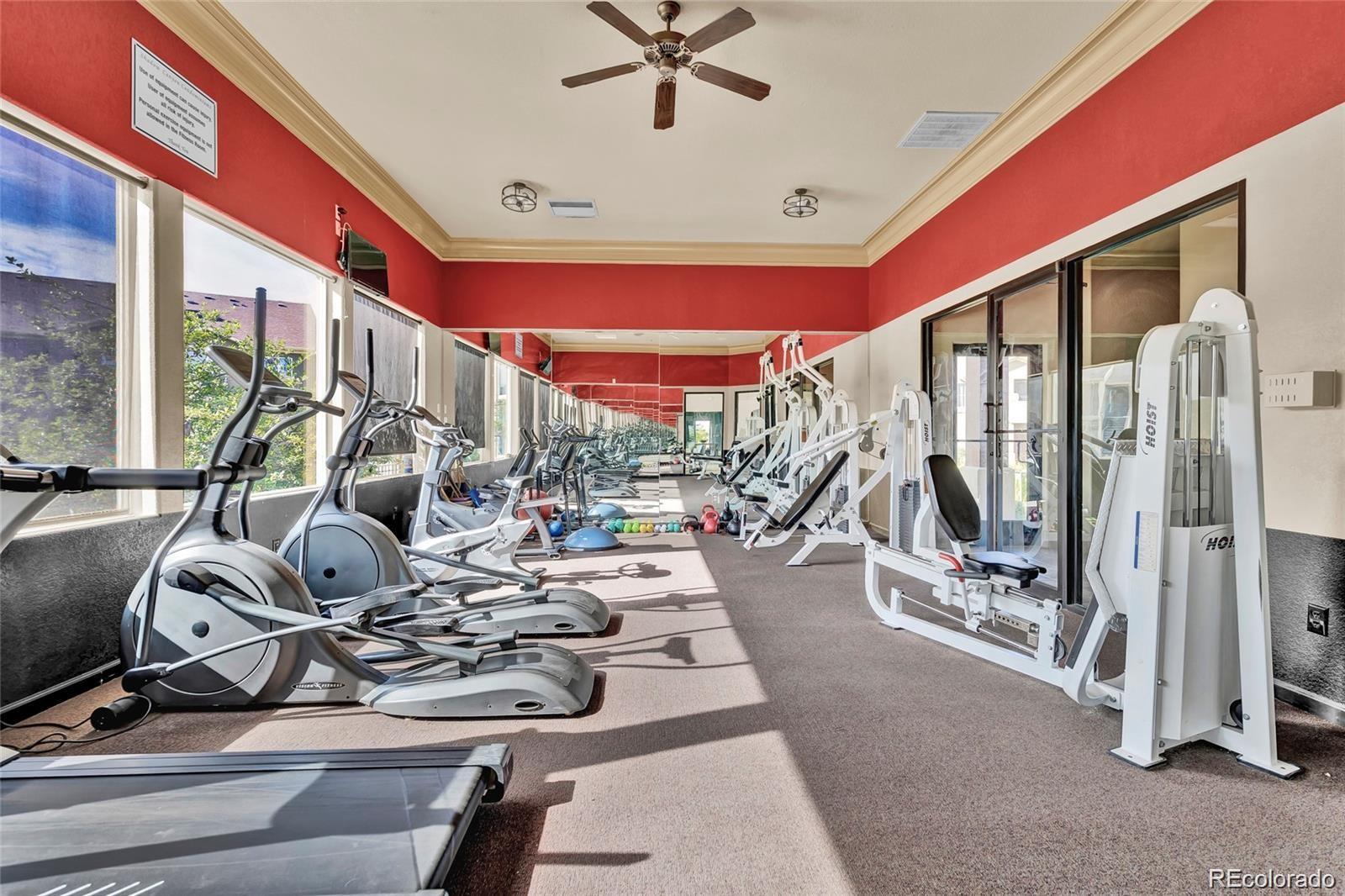 MLS Image #14 for 4569  copeland loop,highlands ranch, Colorado