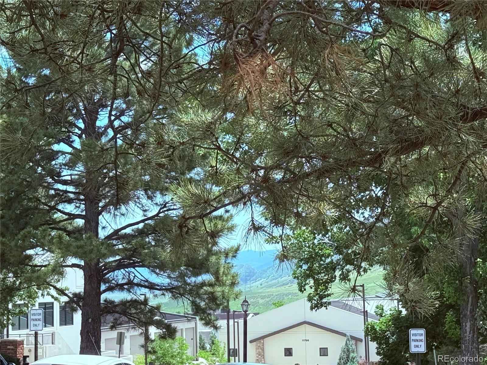 MLS Image #10 for 11884  elk head range road ,littleton, Colorado