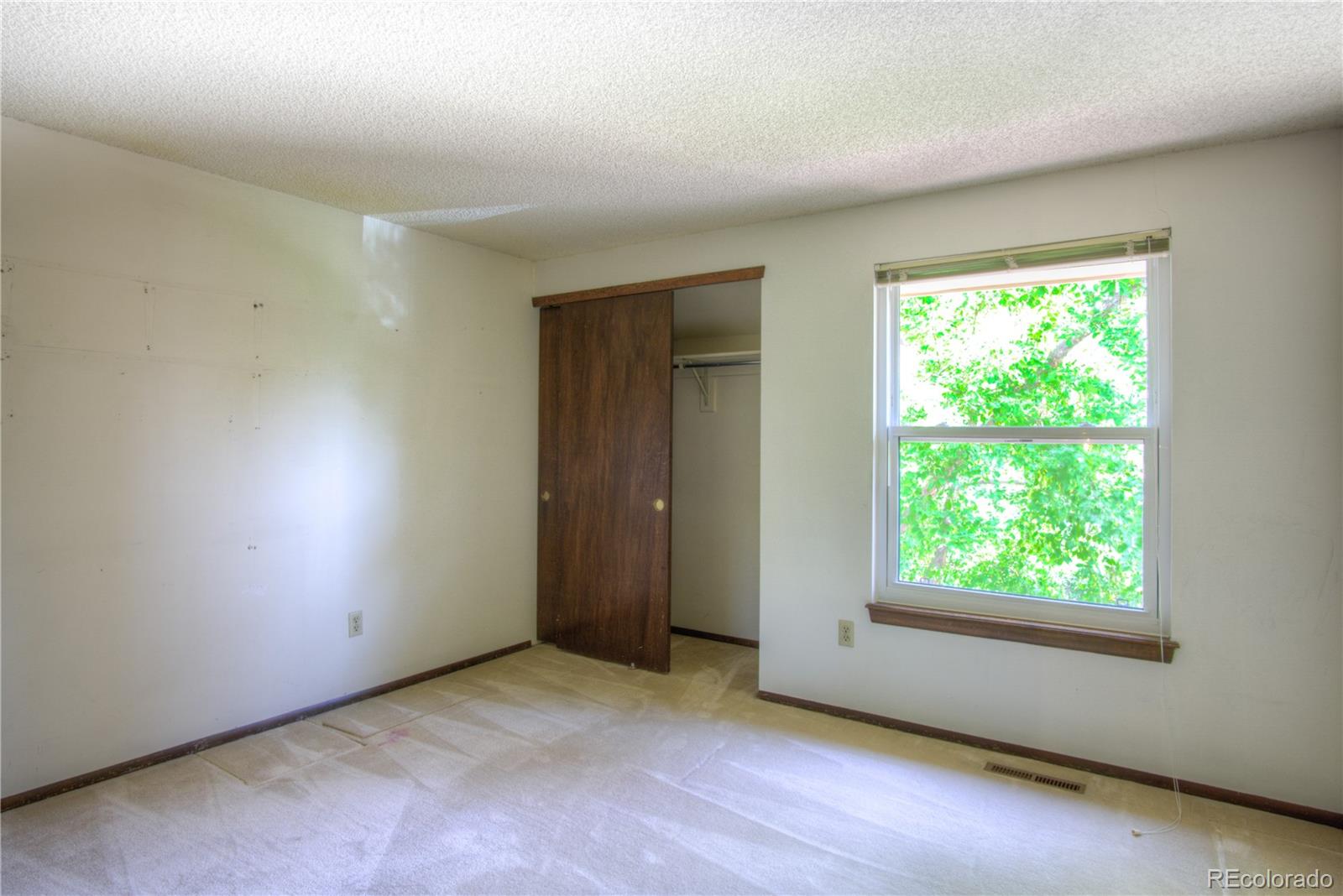 MLS Image #16 for 11884  elk head range road ,littleton, Colorado