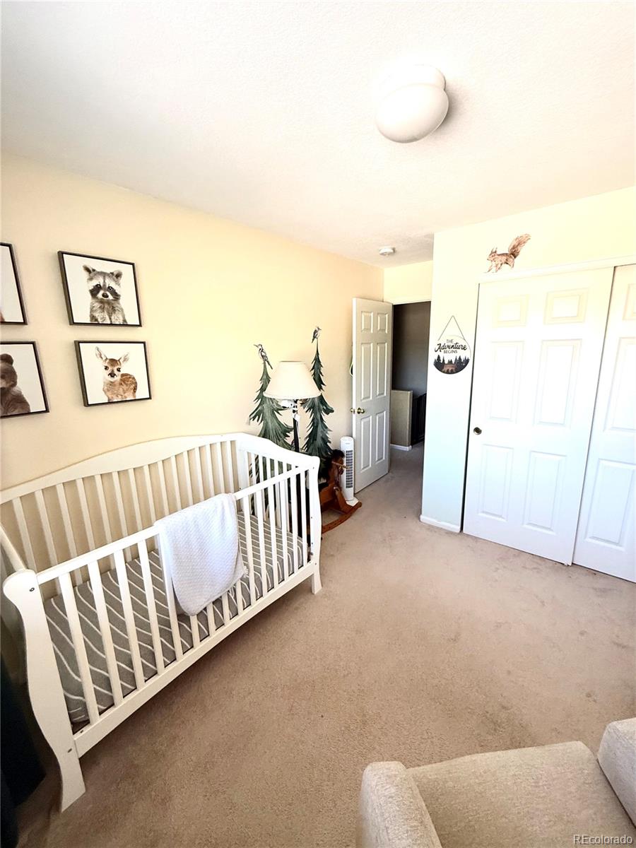MLS Image #14 for 10386  ravenswood way,highlands ranch, Colorado