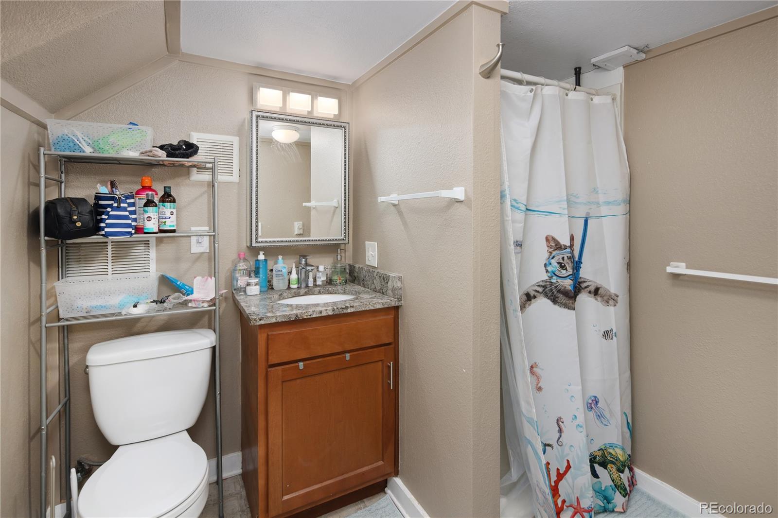 MLS Image #17 for 1712 s gilpin street,denver, Colorado