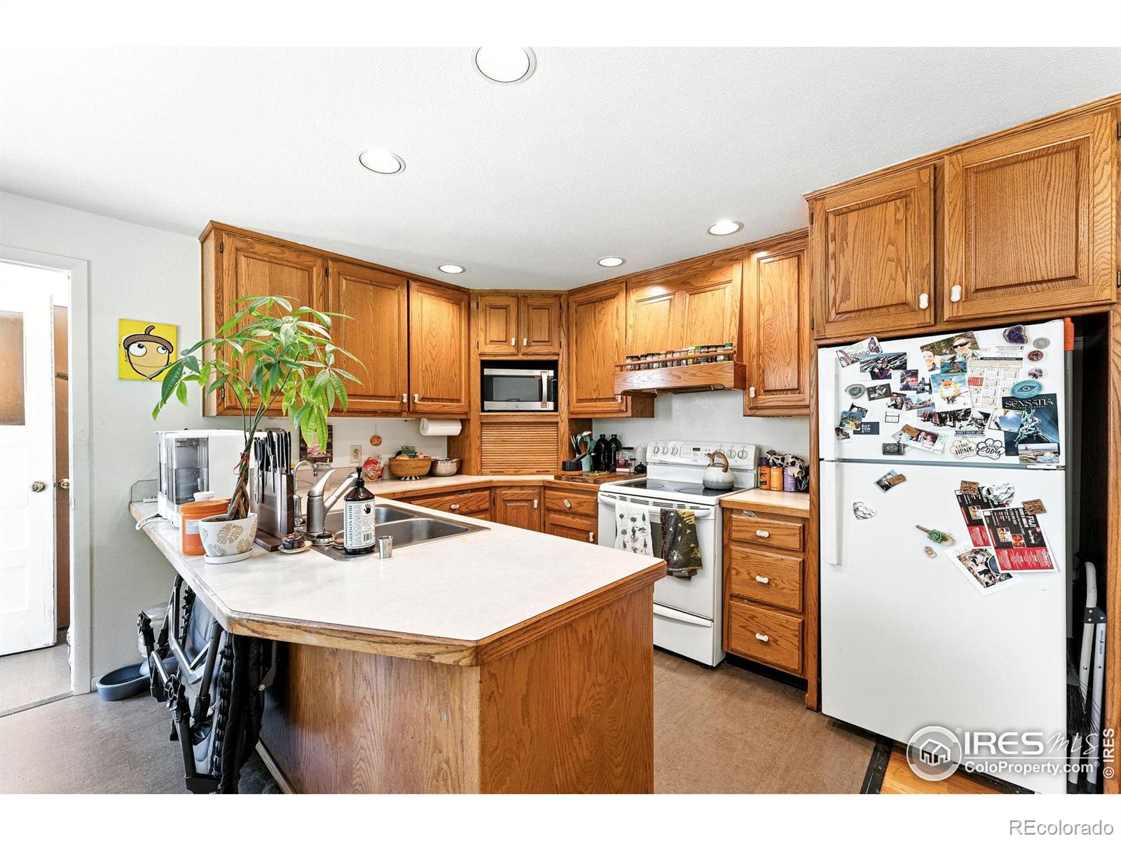 MLS Image #11 for 175  iroquois drive,boulder, Colorado