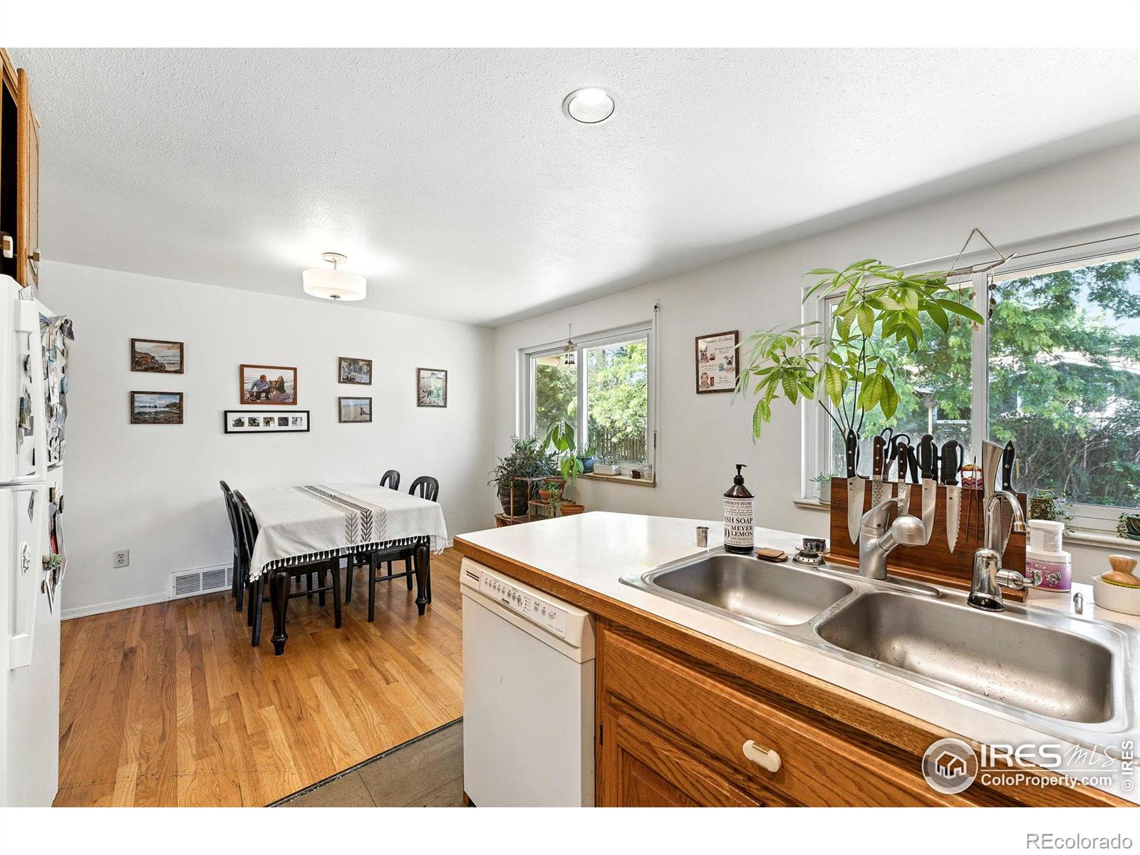 MLS Image #14 for 175  iroquois drive,boulder, Colorado