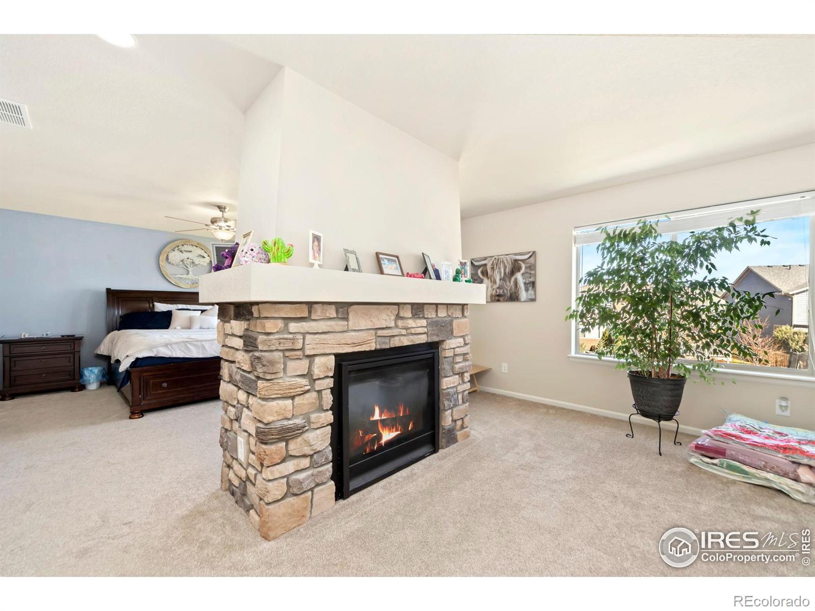 MLS Image #26 for 6504  zimmerman lake road,timnath, Colorado