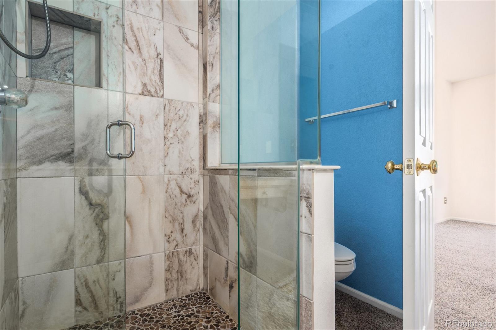 MLS Image #22 for 9522  silver spur lane,highlands ranch, Colorado