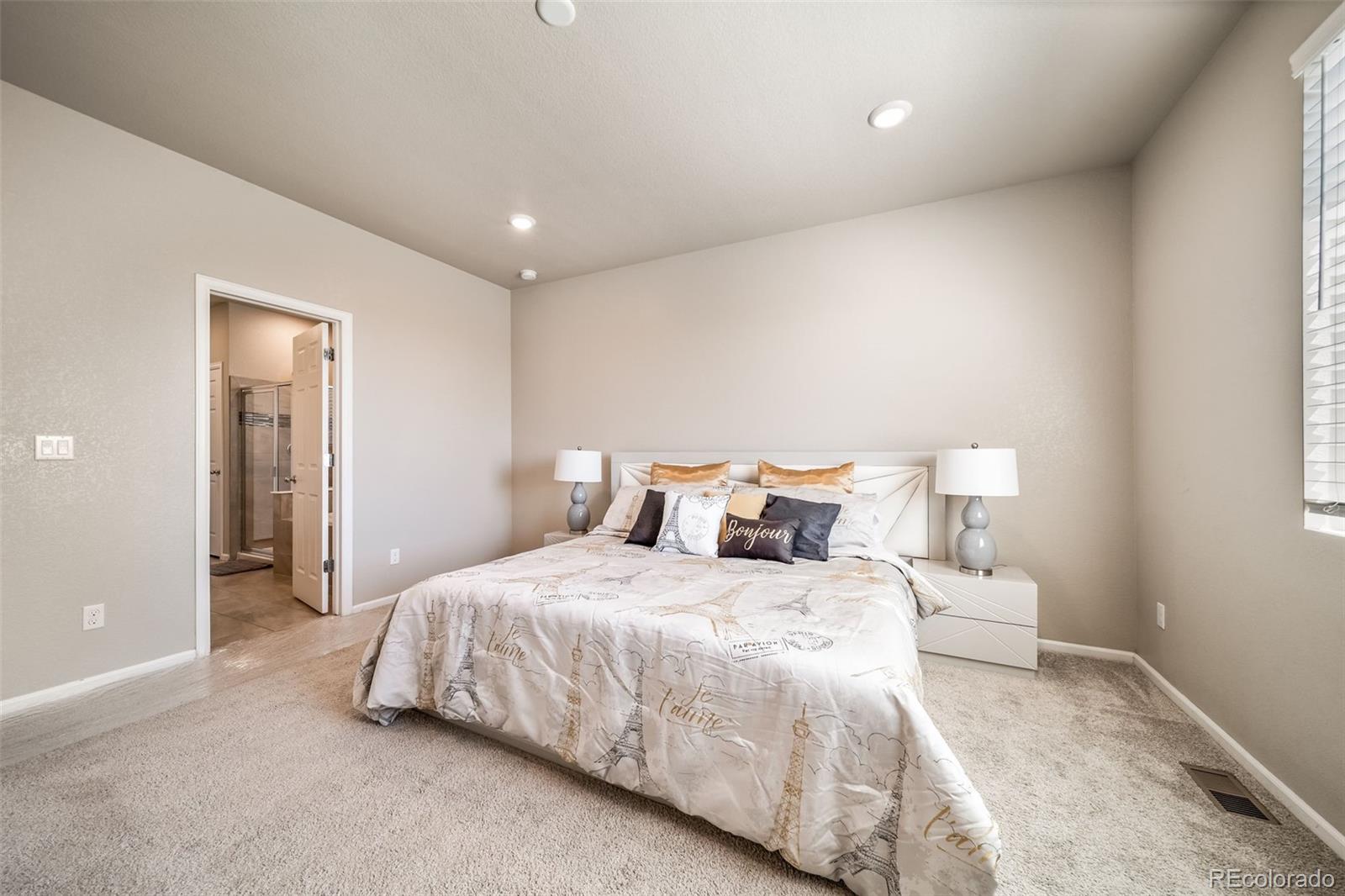 MLS Image #19 for 17028  osage street,broomfield, Colorado