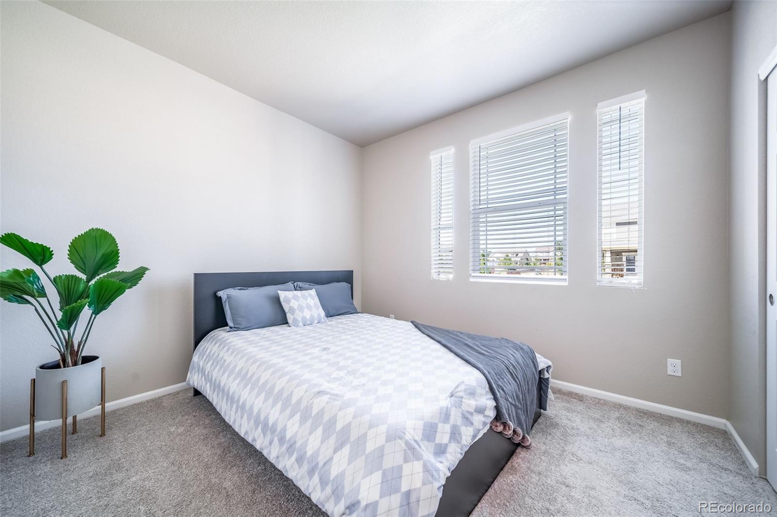 MLS Image #24 for 17028  osage street,broomfield, Colorado
