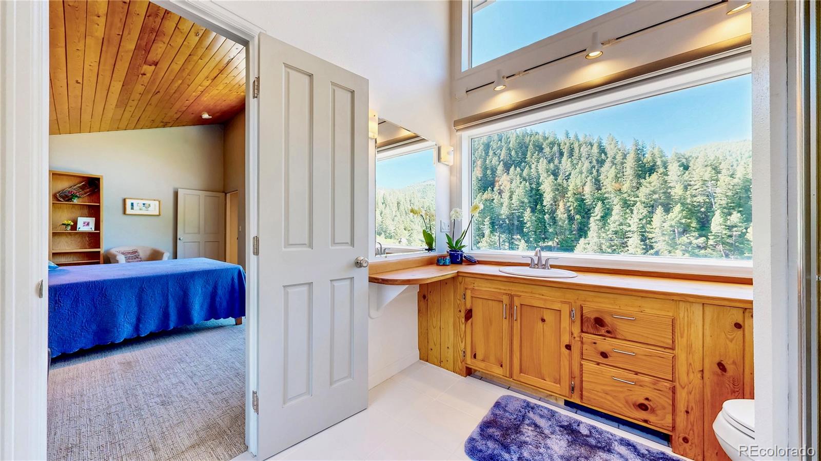 MLS Image #12 for 2602  hidden valley road ,sedalia, Colorado