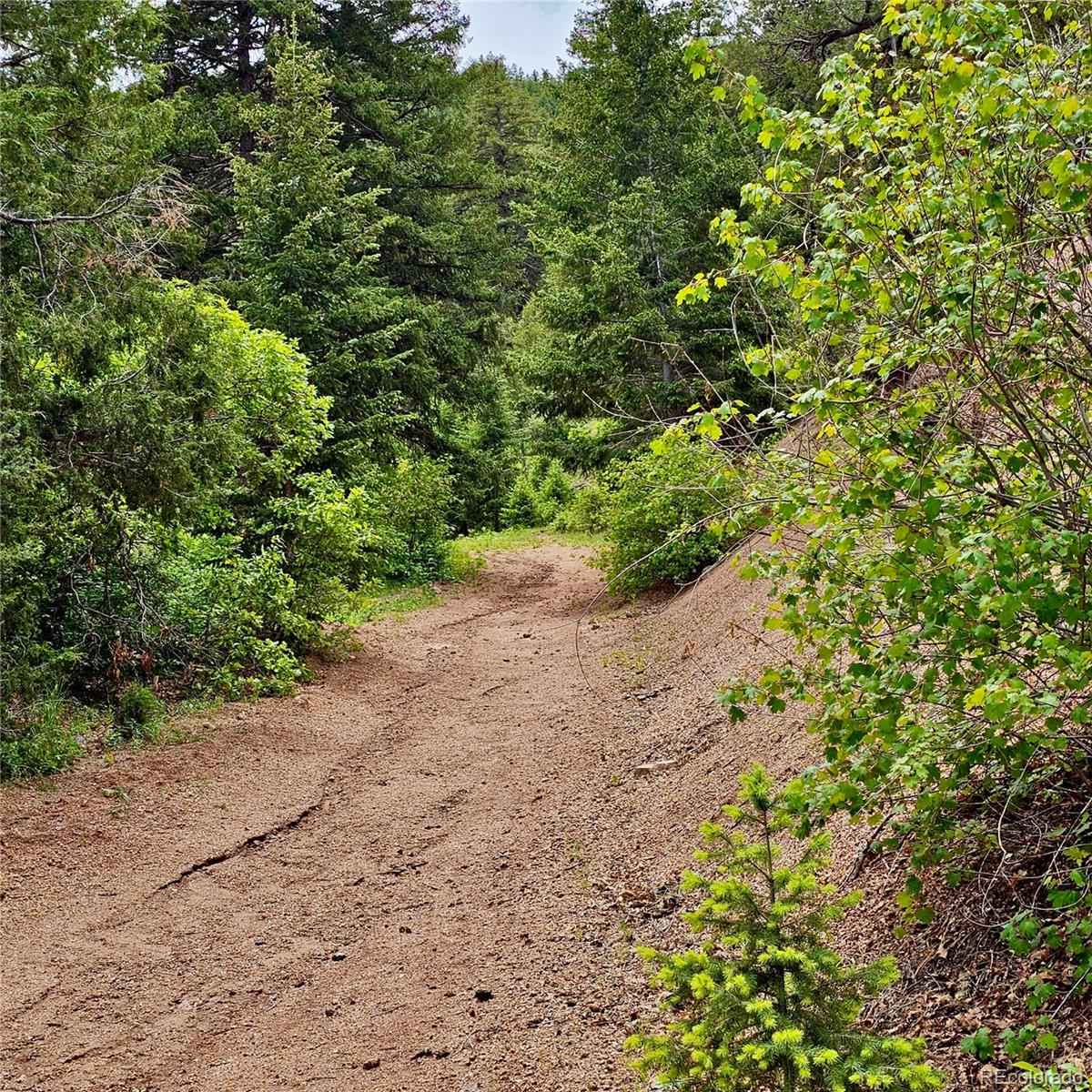 MLS Image #40 for 2602  hidden valley road ,sedalia, Colorado