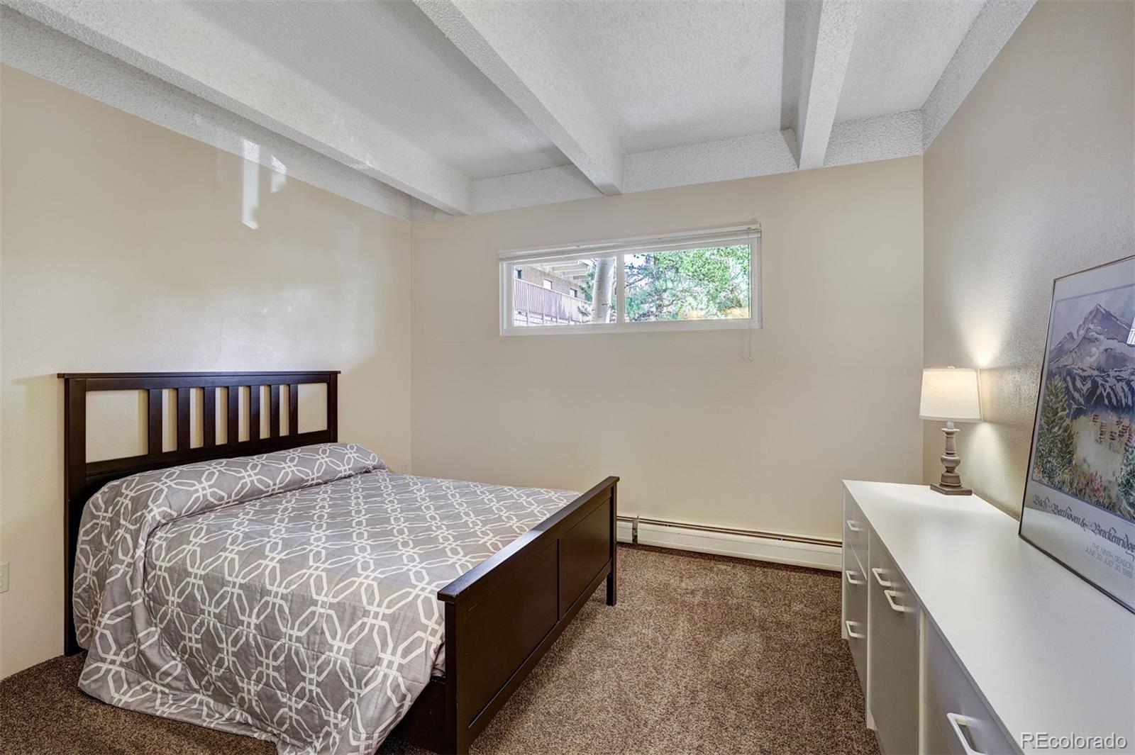 MLS Image #12 for 200  granite street,frisco, Colorado